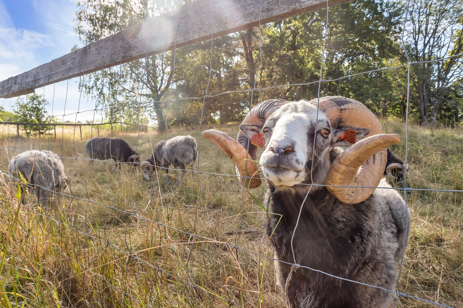 Bostadsbild från Torshavnsgatan 14, Såld i Ekeby, Uppsala