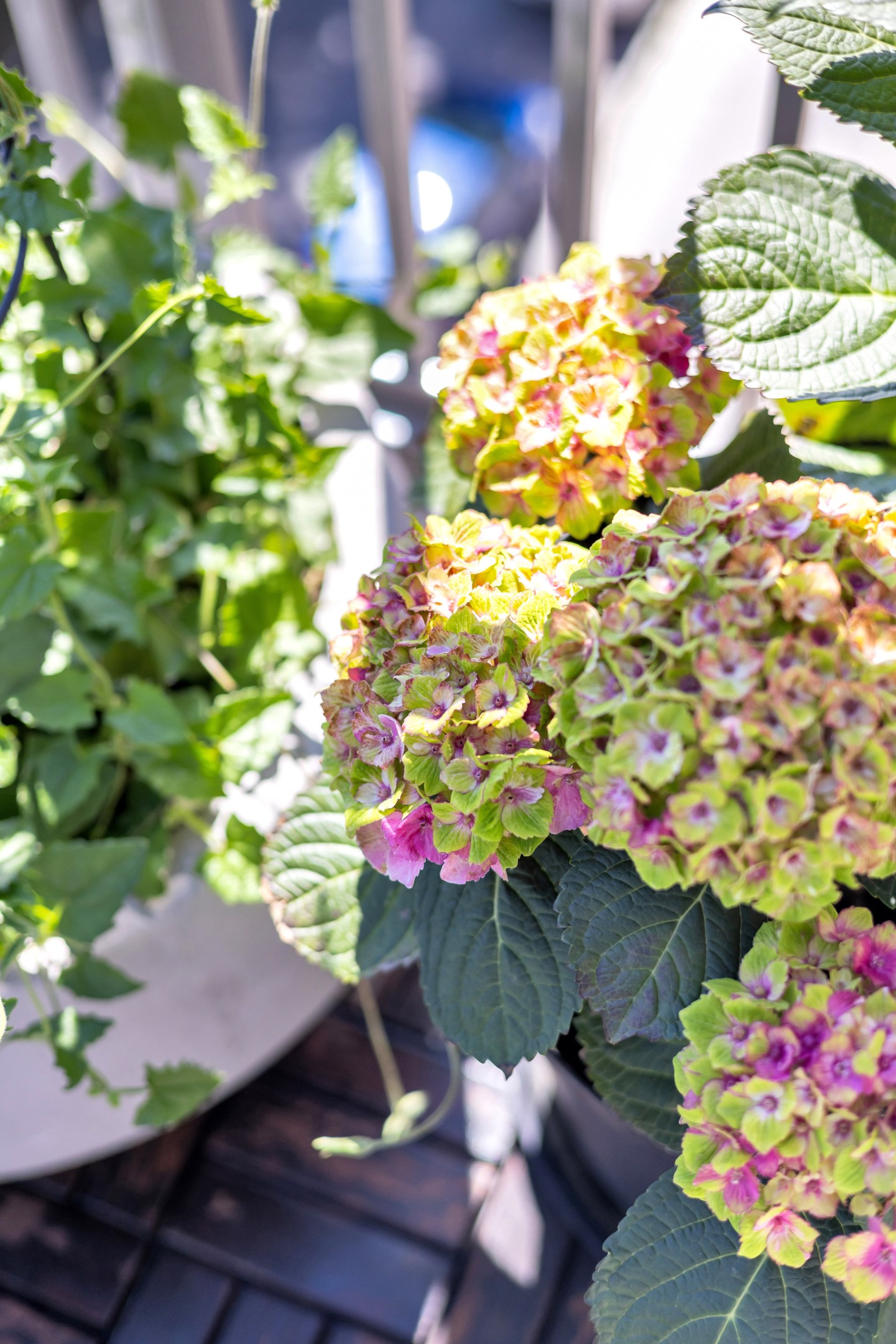 Bostadsbild från Kungsängsesplanaden 12B, Såld i Kungsängen, Uppsala