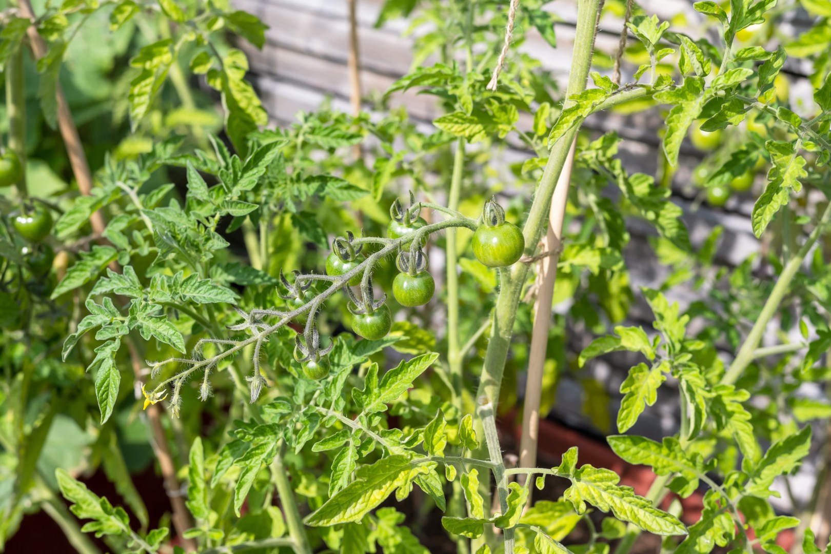 Bostadsbild från Ramsjövägen 184, Såld i Björklinge, Uppsala