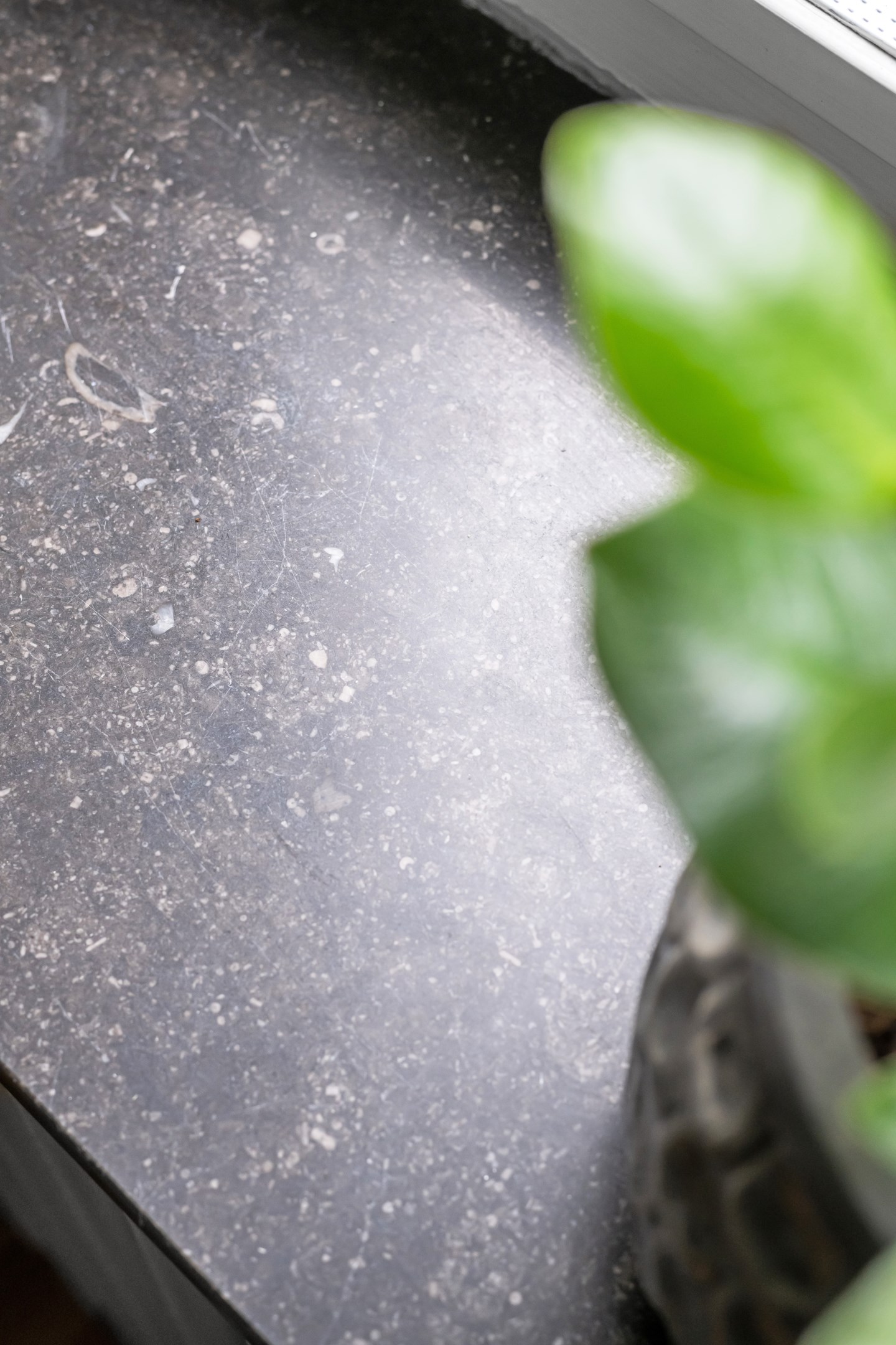 Bostadsbild från Kyrkogårdsgatan 16 C, Såld i Luthagen, Uppsala