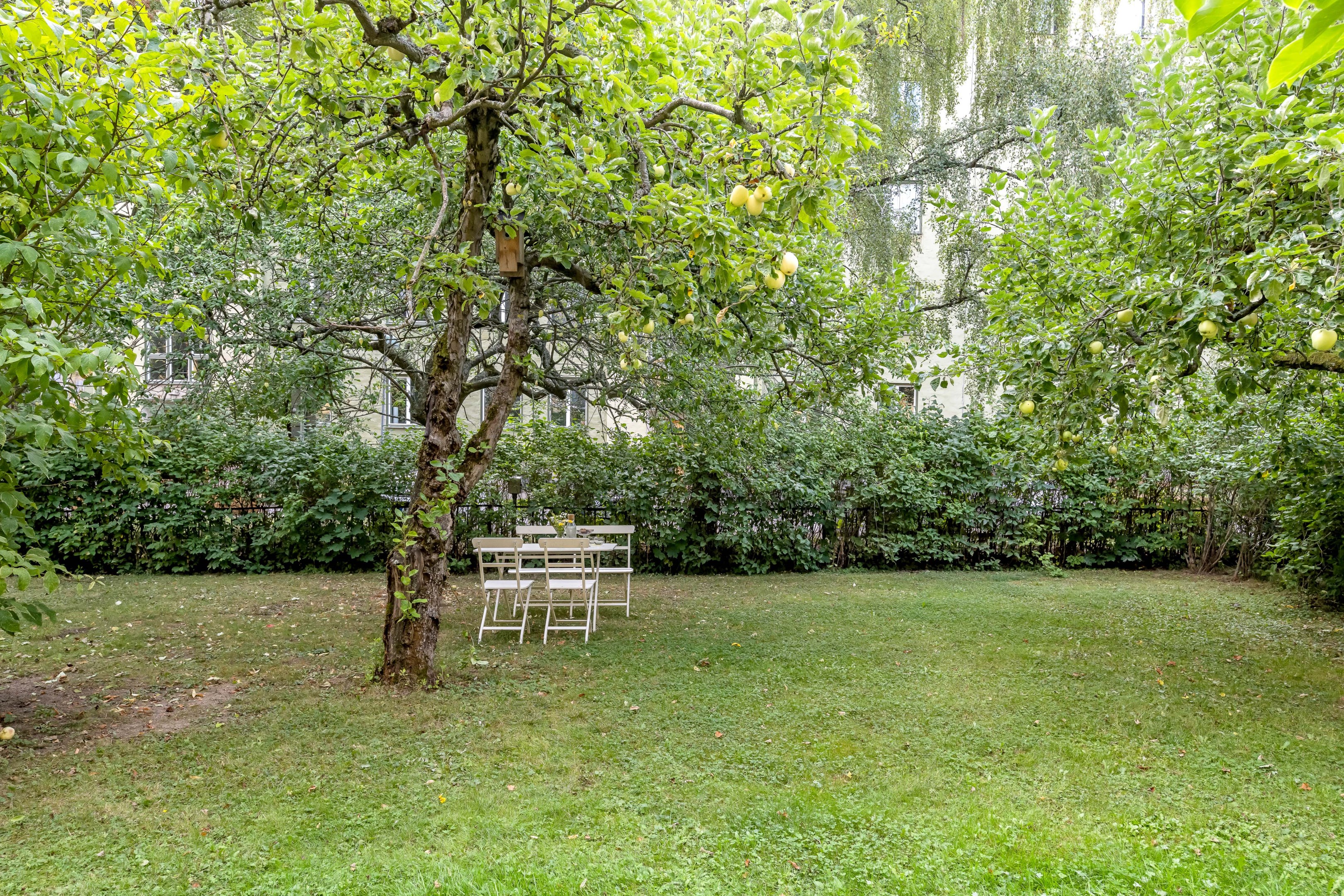 Bostadsbild från Kyrkogårdsgatan 16 C, Såld i Luthagen, Uppsala