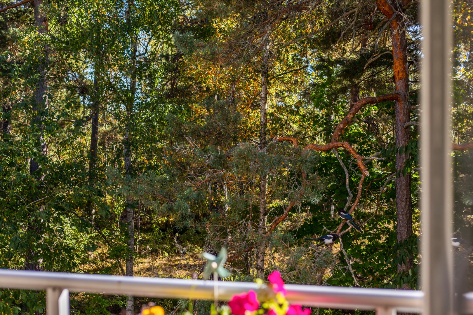 Bostadsbild från Ullerudsbacken 65, Såld i Farsta, Stockholm