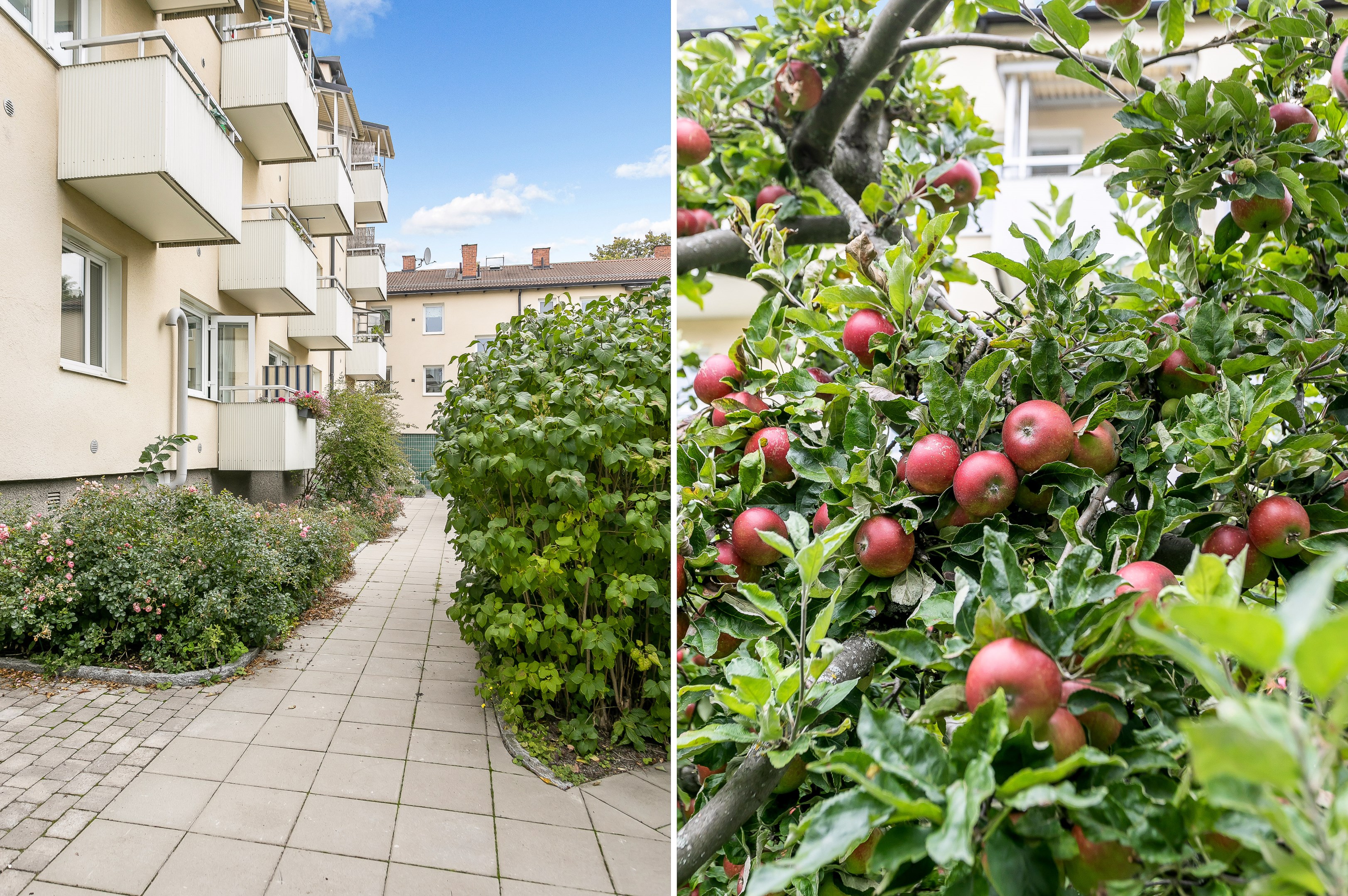 Bostadsbild från Repslagargatan 15B, Kommande i Svartbäcken, Uppsala