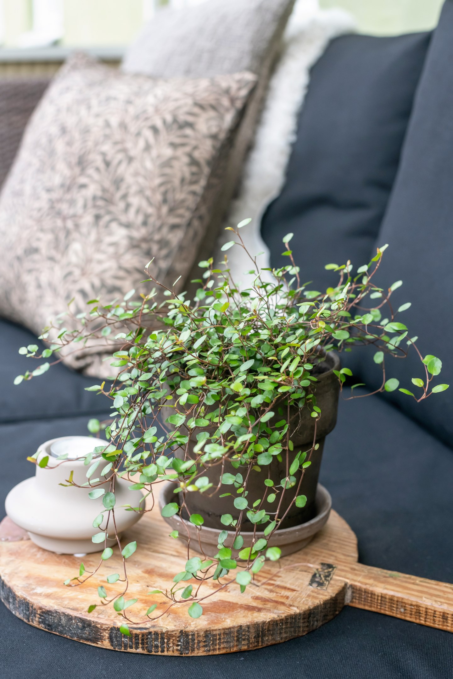 Bostadsbild från Hjalmar Brantingsgatan 7 A, Såld i Fålhagen, Uppsala