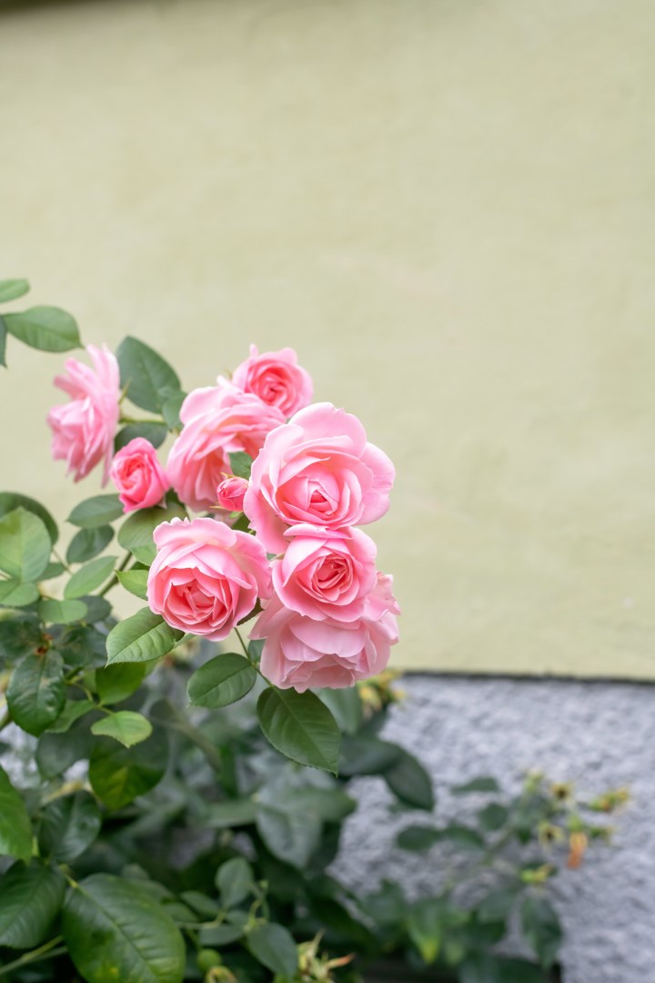 Bostadsbild från Hjalmar Brantingsgatan 7 A, Såld i Fålhagen, Uppsala