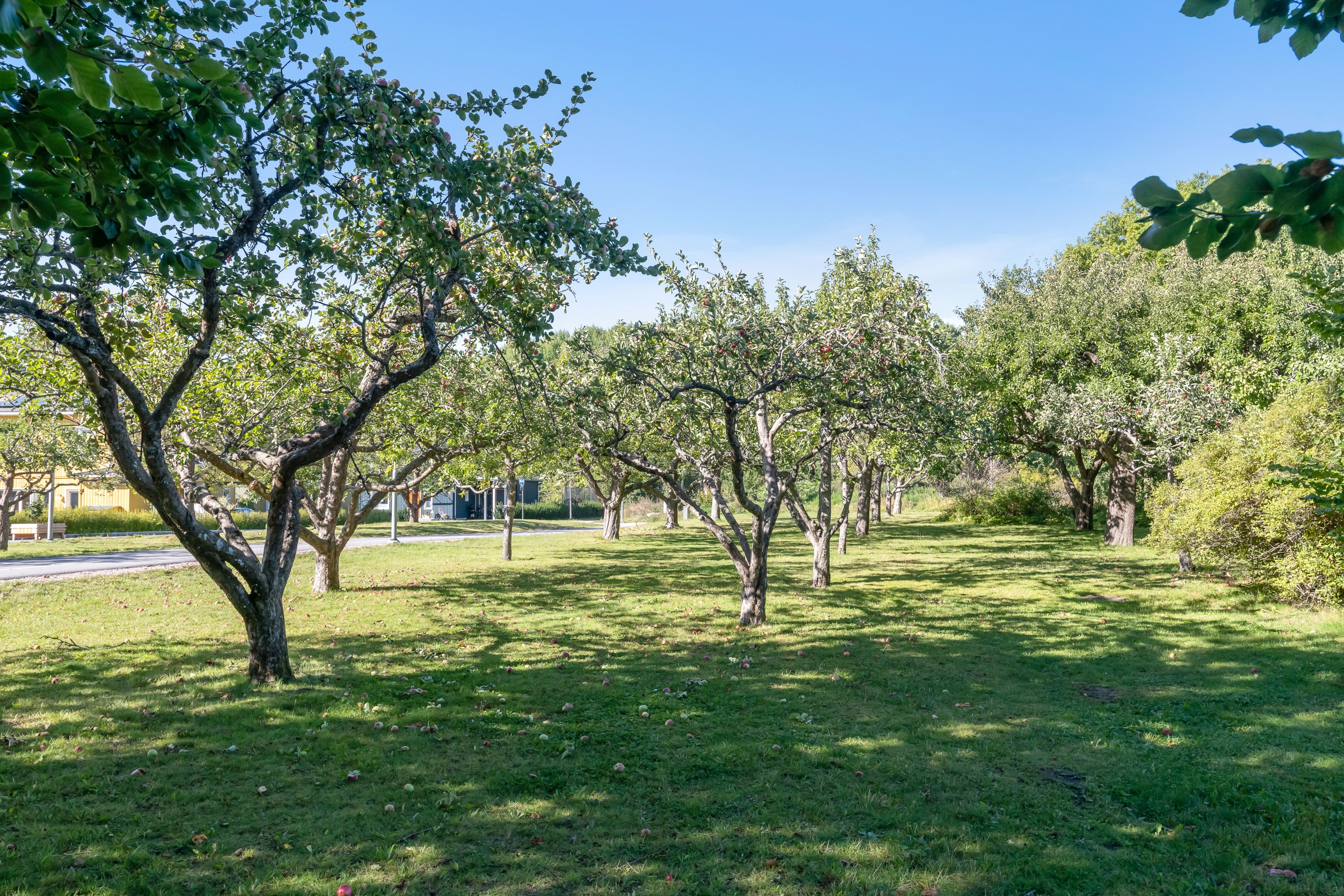 Bostadsbild från Göte Turessons väg 7A, Såld i Ultuna, Uppsala