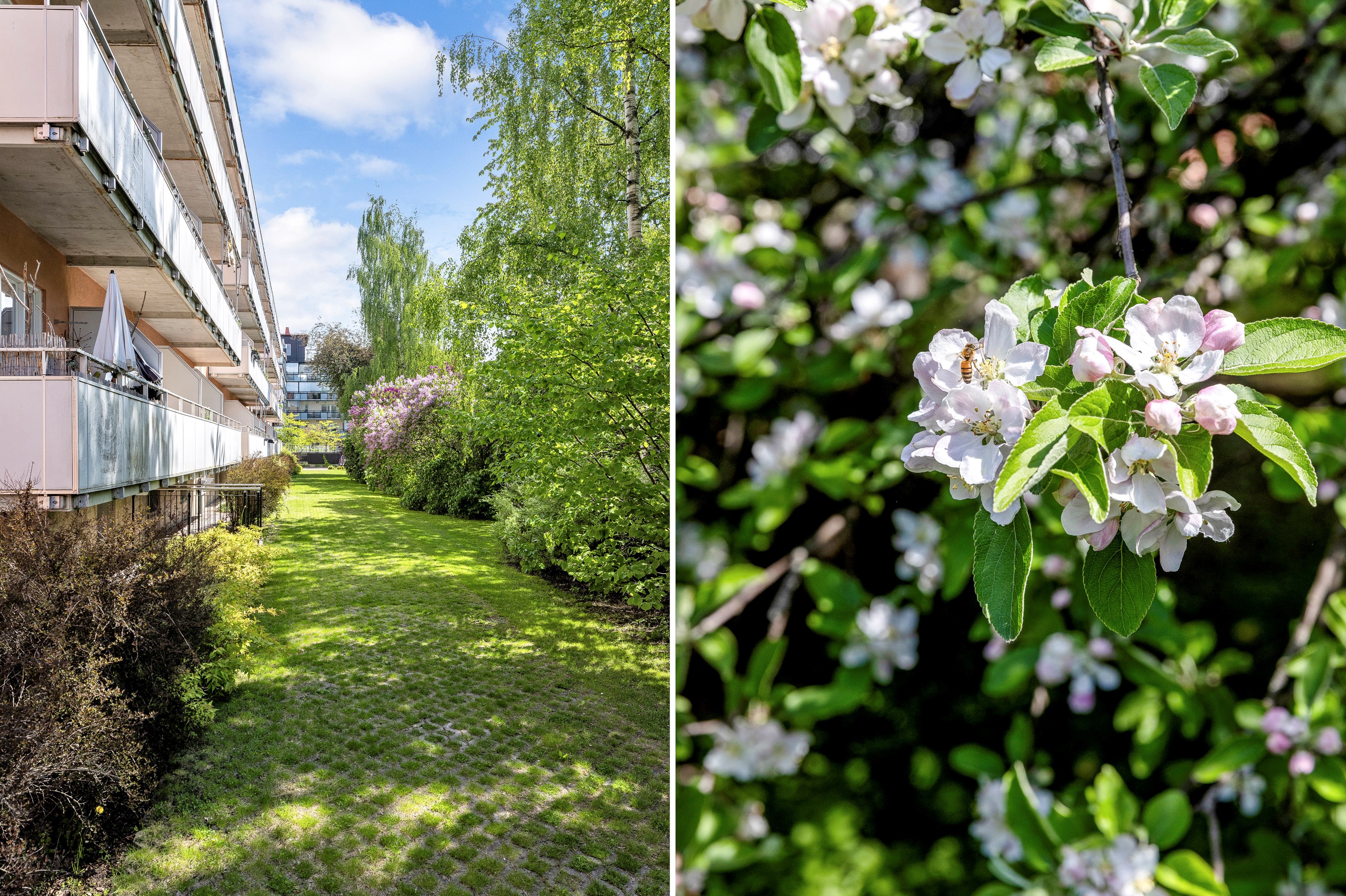 Bostadsbild från Salagatan 13C, Kommande i Höganäs, Uppsala
