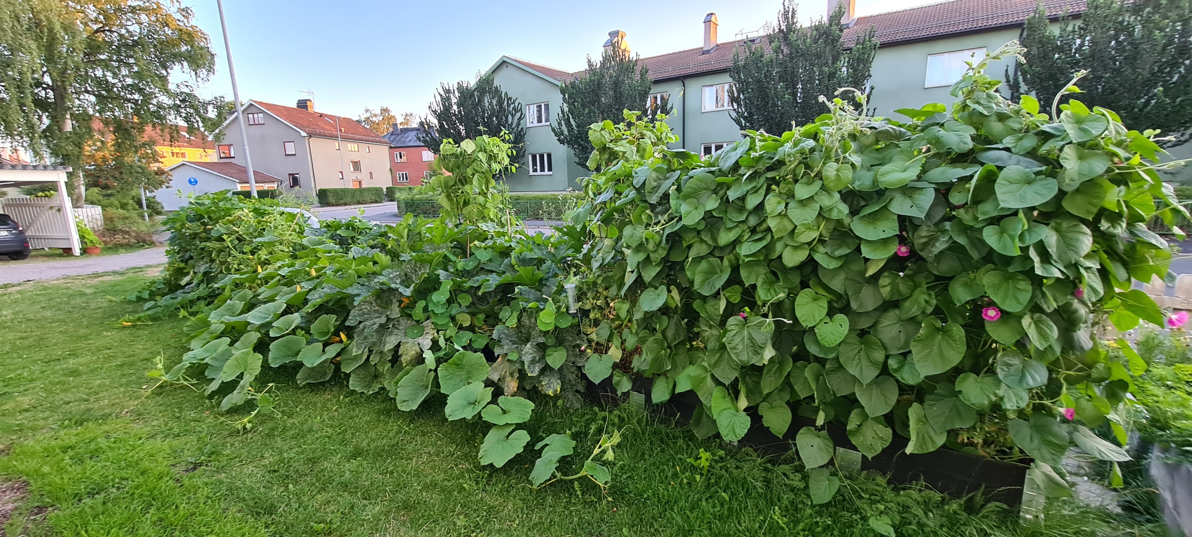 Bostadsbild från Österängsgatan 1D, Såld i Fålhagen, Uppsala