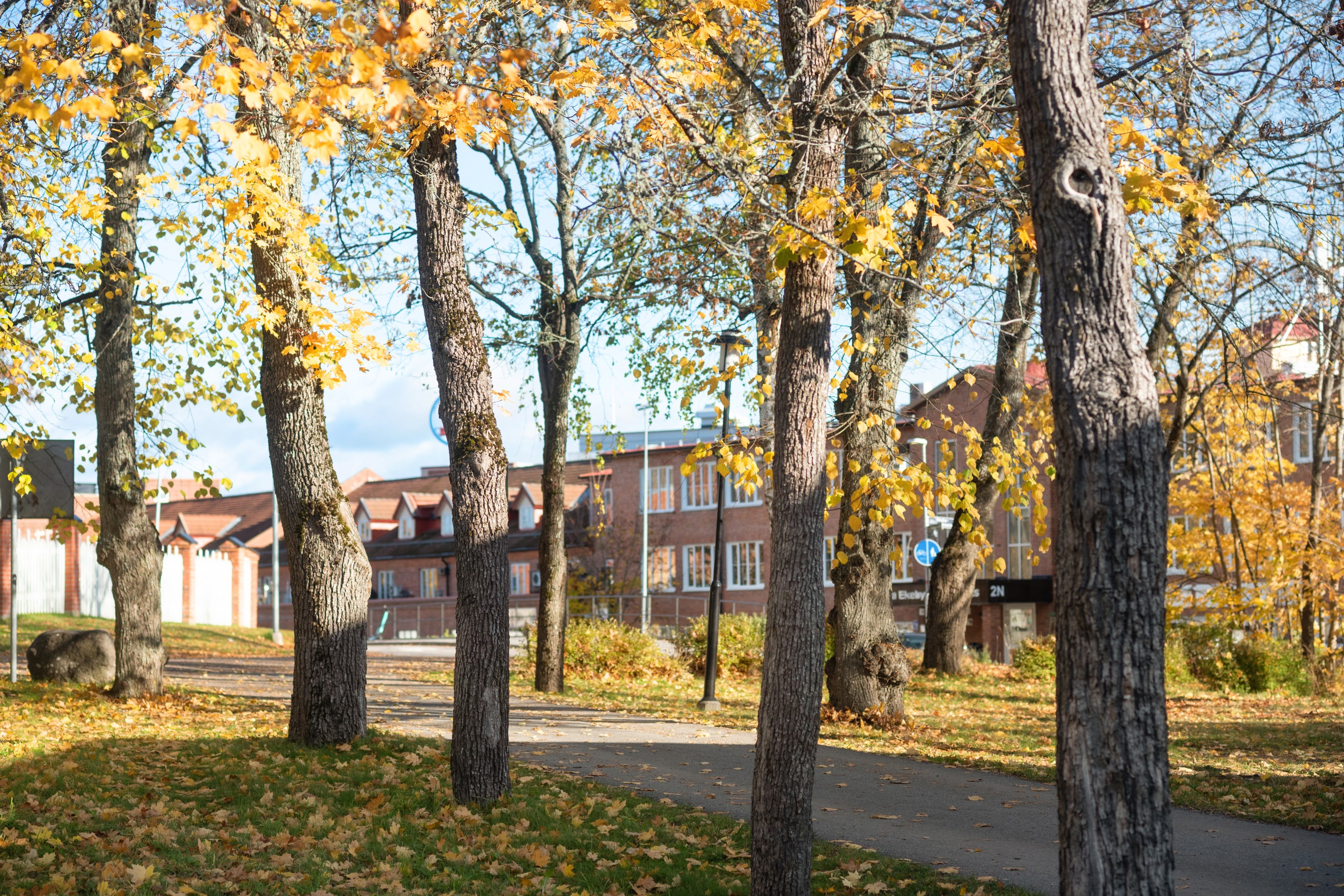 Bostadsbild från Vänortsgatan 56, Såld i Ekeby, Uppsala