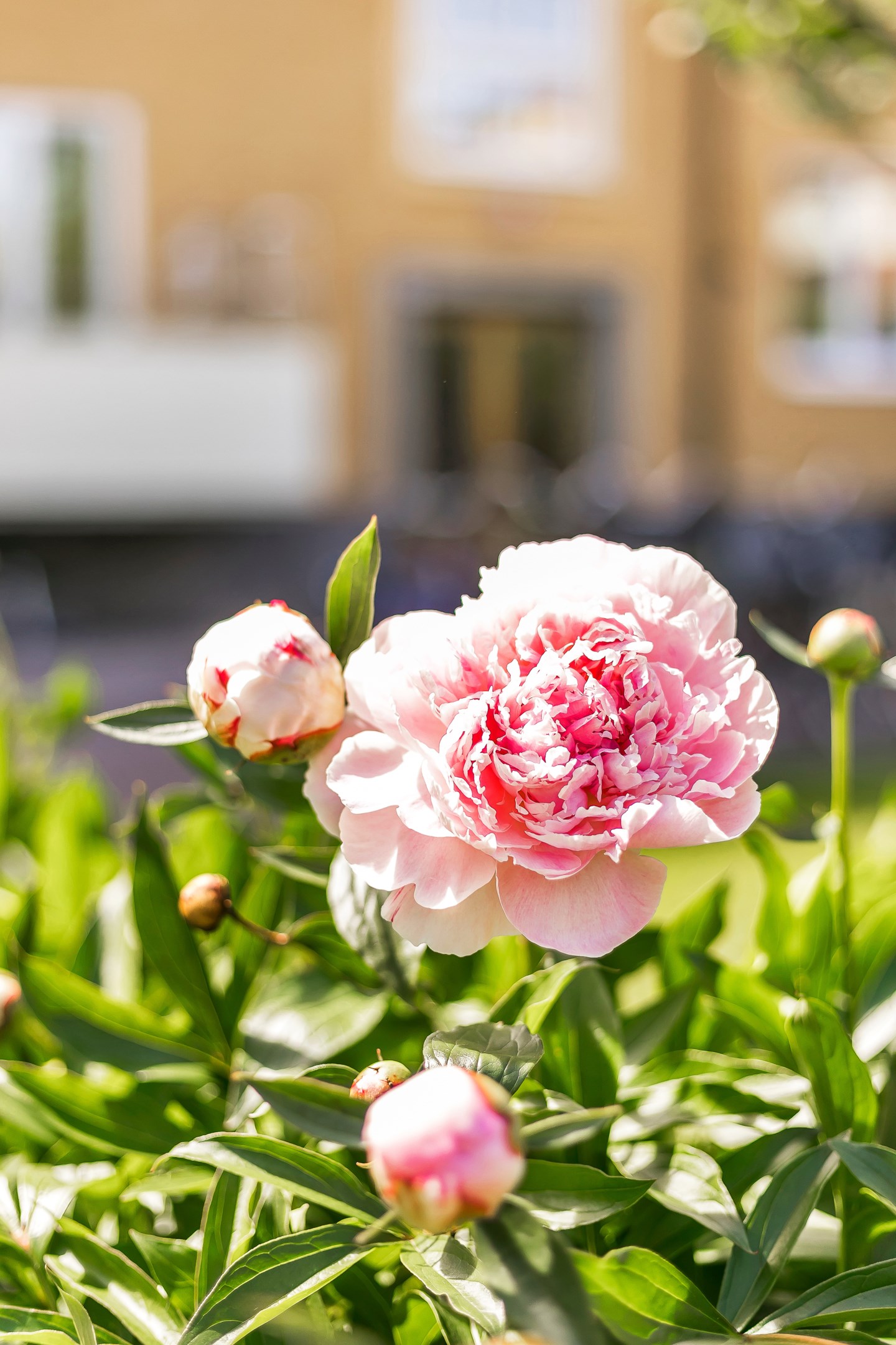 Bostadsbild från Vindhemsgatan 15A, Såld i Luthagen, Uppsala