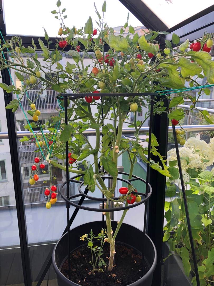 Bostadsbild från Tollare strand 5, 6 av 6 tr, Såld i Tollare, Nacka