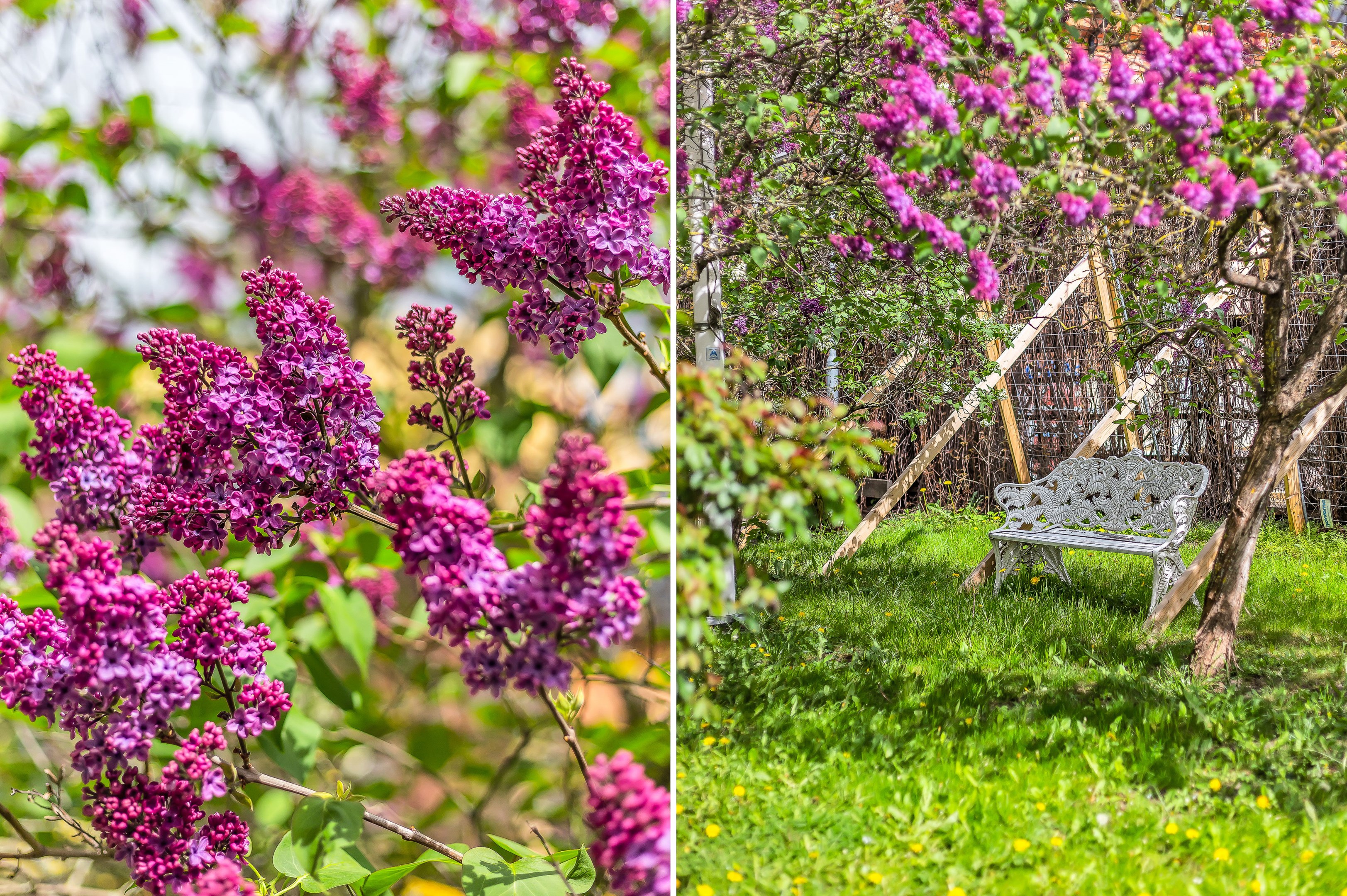 Bostadsbild från Kungsgatan 52 A, Kommande i Centrum, Uppsala