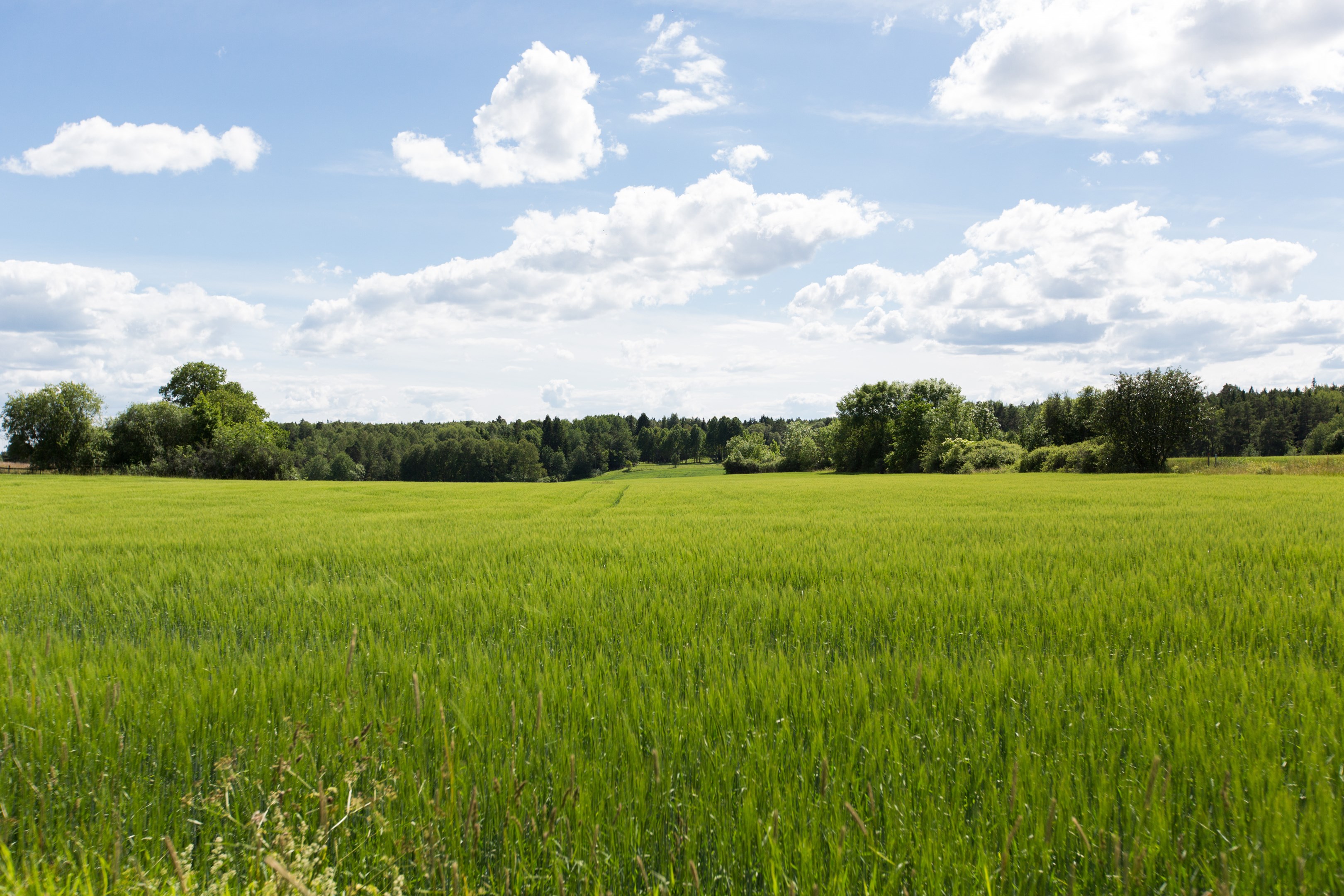 Bostadsbild från Gnejsvägen 2K, Såld i Eriksberg, Uppsala