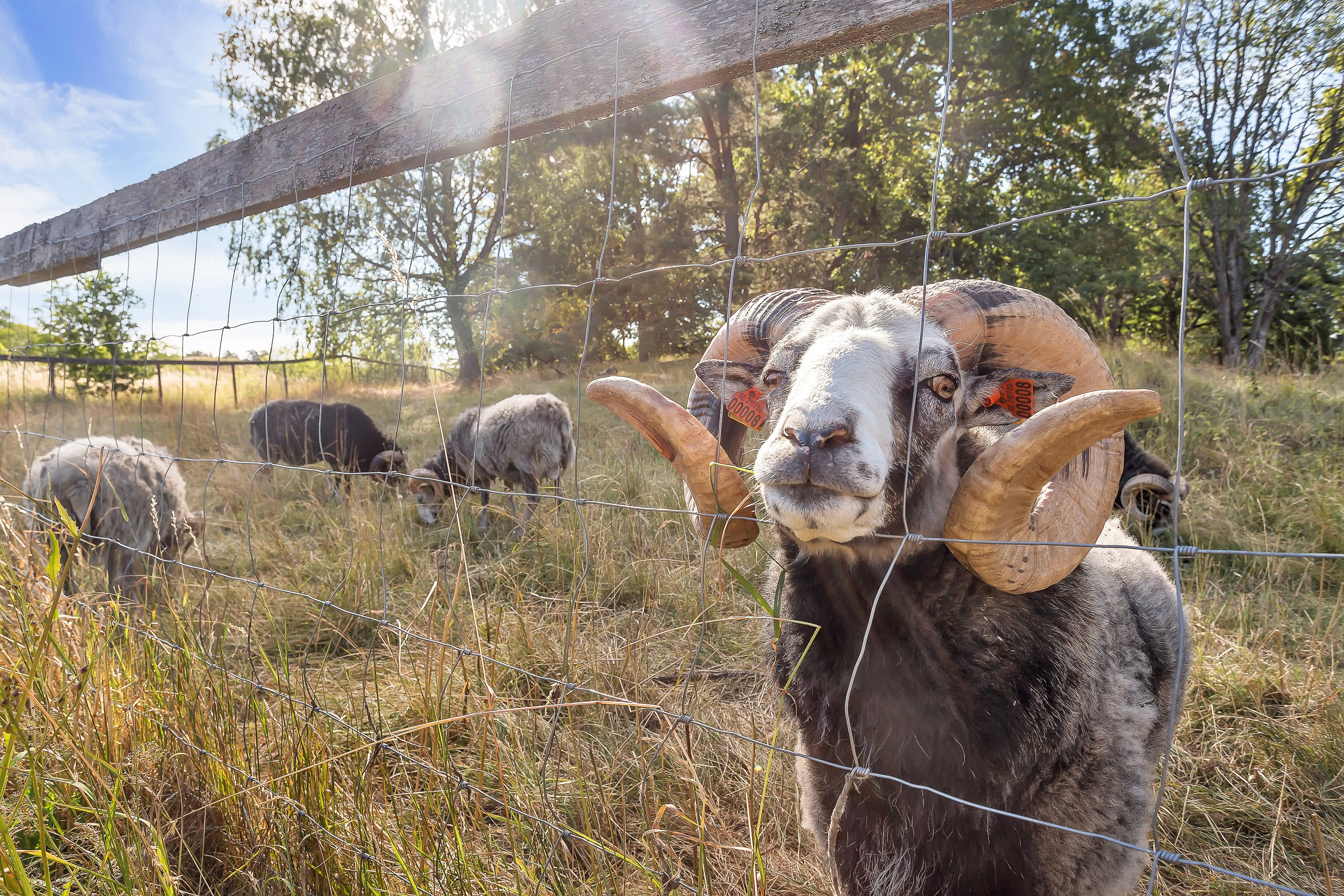 Bostadsbild från Basarbovägen 6, Såld i Ekeby, Uppsala