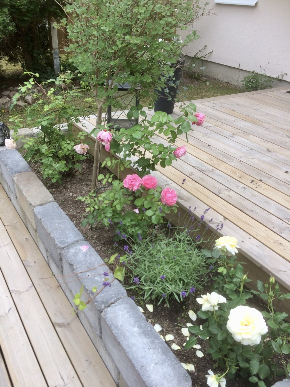 Bostadsbild från Tryffelvägen 88, Såld i Norby, Uppsala