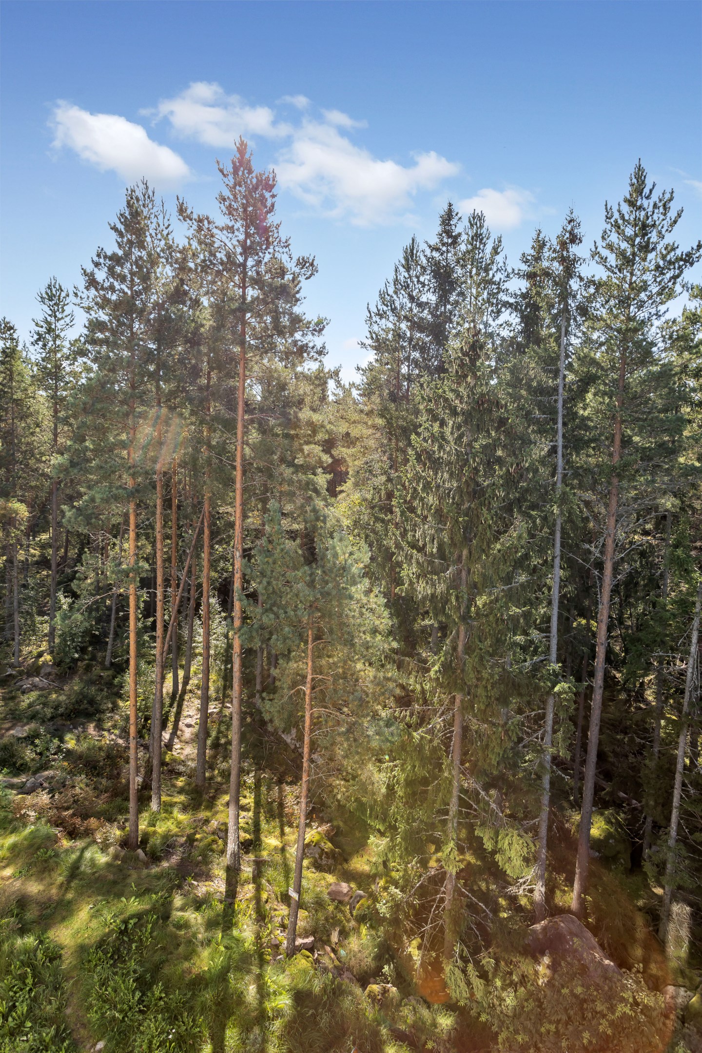 Bostadsbild från Meteorvägen 32, Såld i Fullerö, Uppsala
