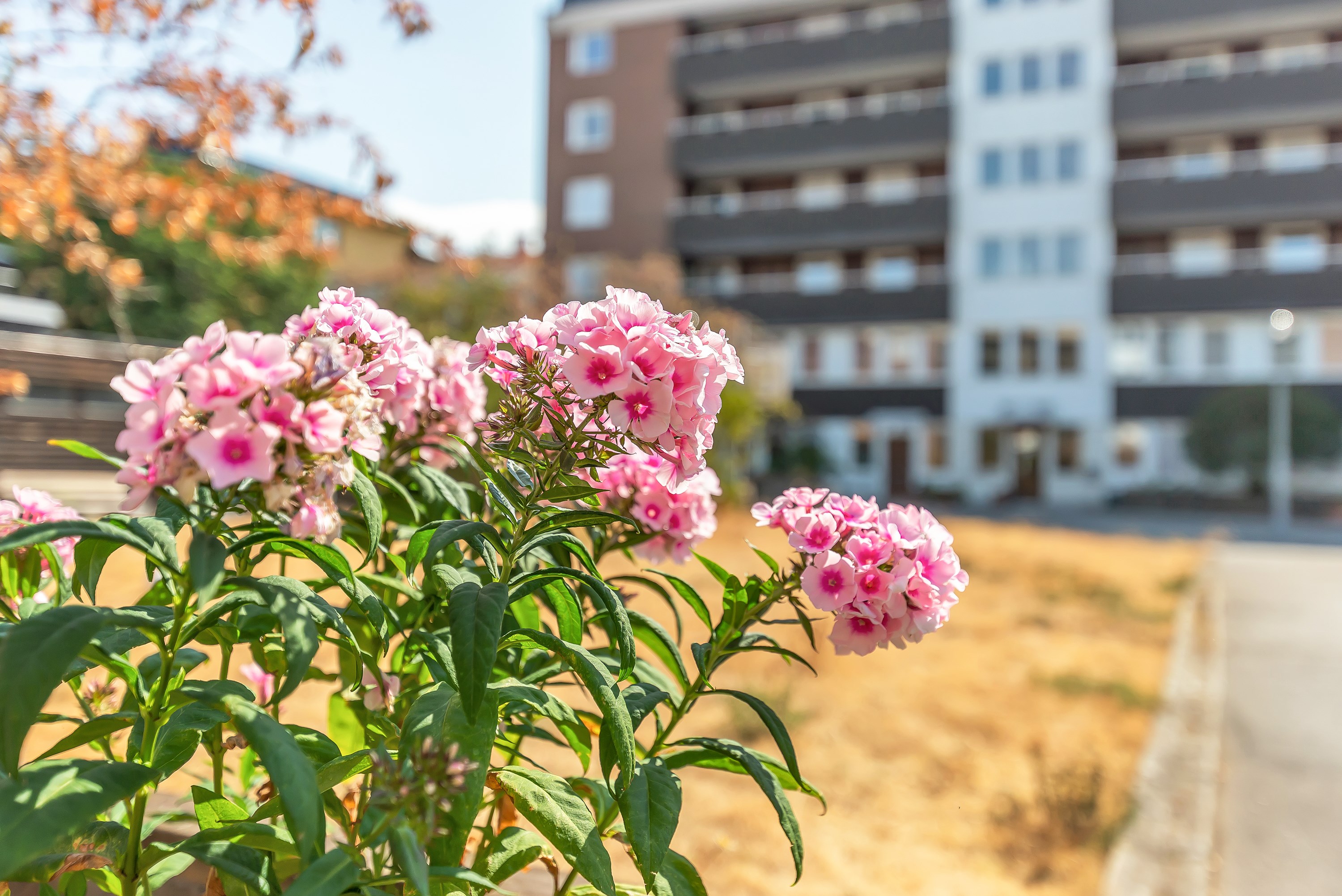 Bostadsbild från Sturegatan 3, Såld i Främre Luthagen, Uppsala