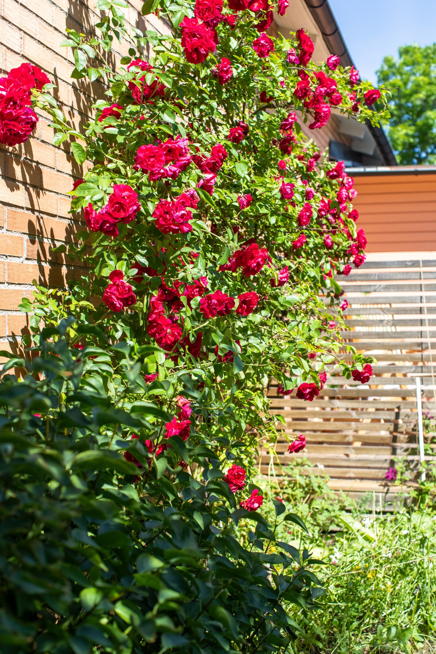 Bostadsbild från Ramsjövägen 170, Såld i Björklinge, Uppsala