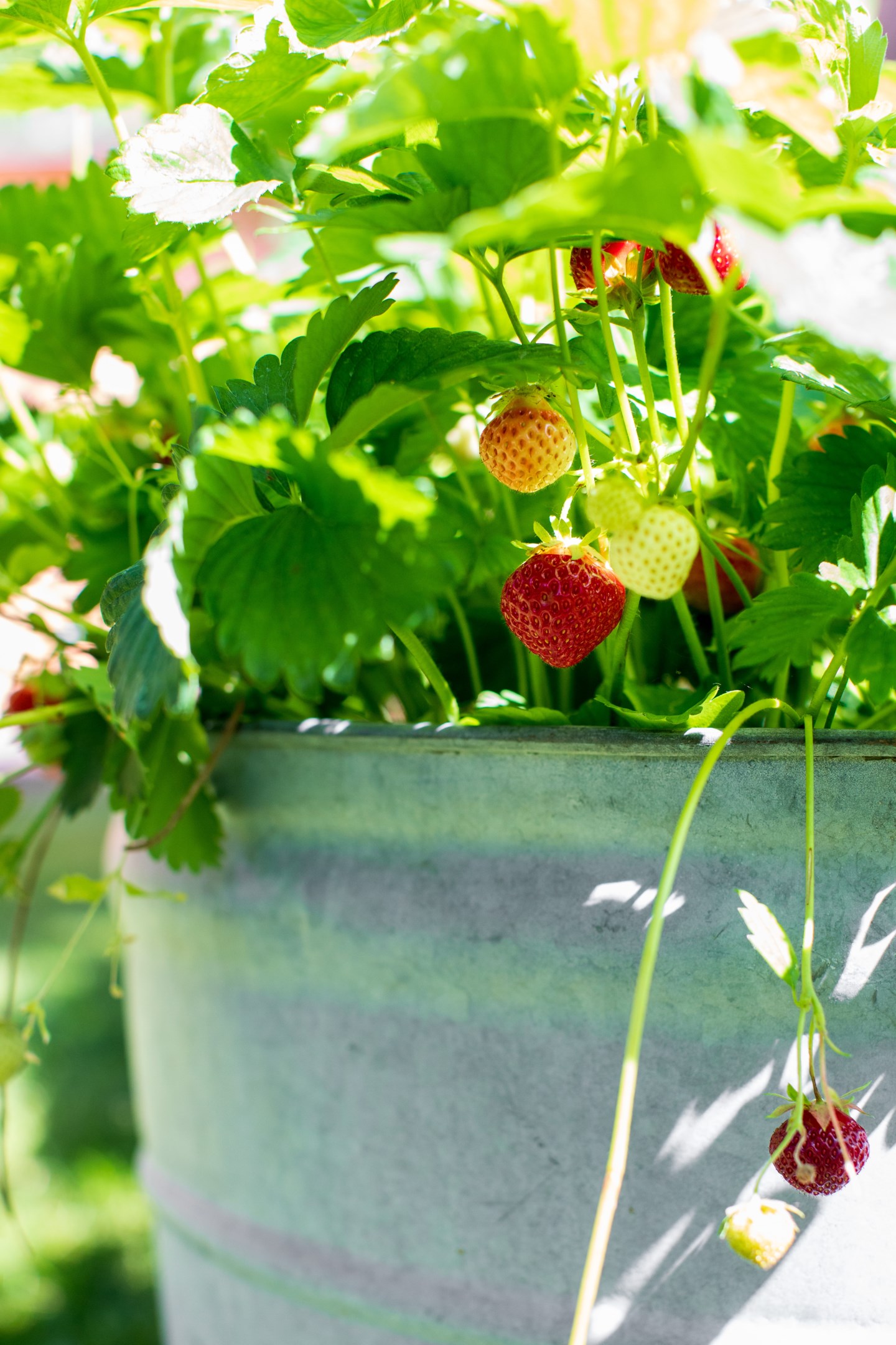 Bostadsbild från Ramsjövägen 170, Såld i Björklinge, Uppsala