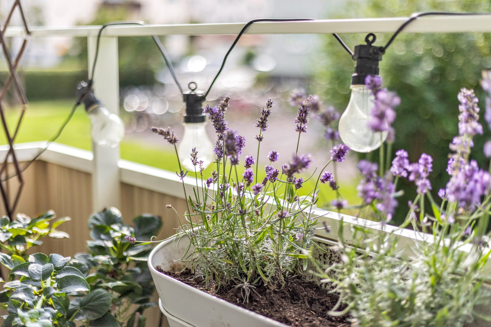 Bostadsbild från Fålhagsleden 6C, Såld i Fålhagen, Uppsala