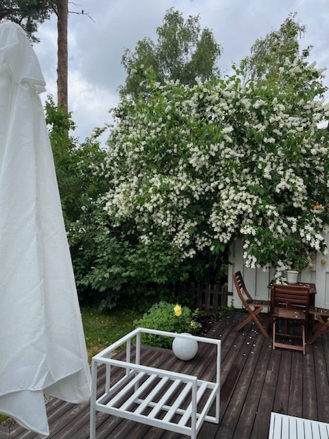 Bostadsbild från Musserongränd 2G, Såld i Norby, Uppsala