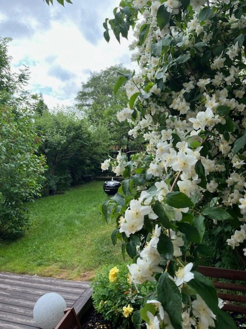 Bostadsbild från Musserongränd 2G, Såld i Norby, Uppsala