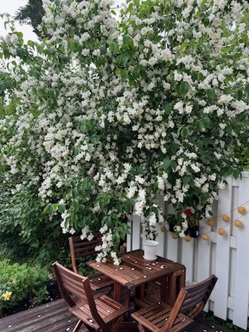 Bostadsbild från Musserongränd 2G, Såld i Norby, Uppsala