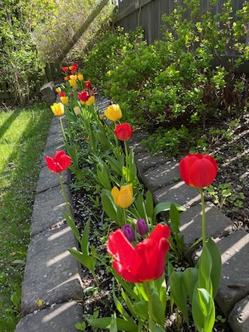 Bostadsbild från Musserongränd 2G, Såld i Norby, Uppsala