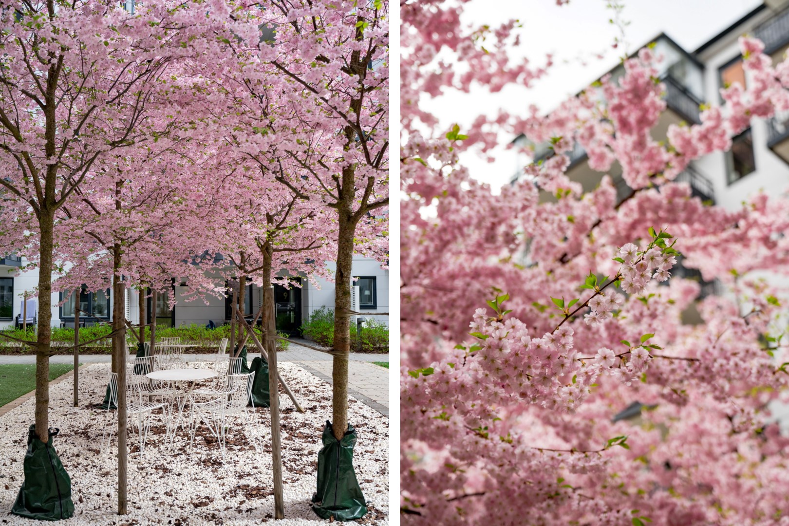 Bostadsbild från Kryddblandargatan 1, Såld i Centrum, Uppsala