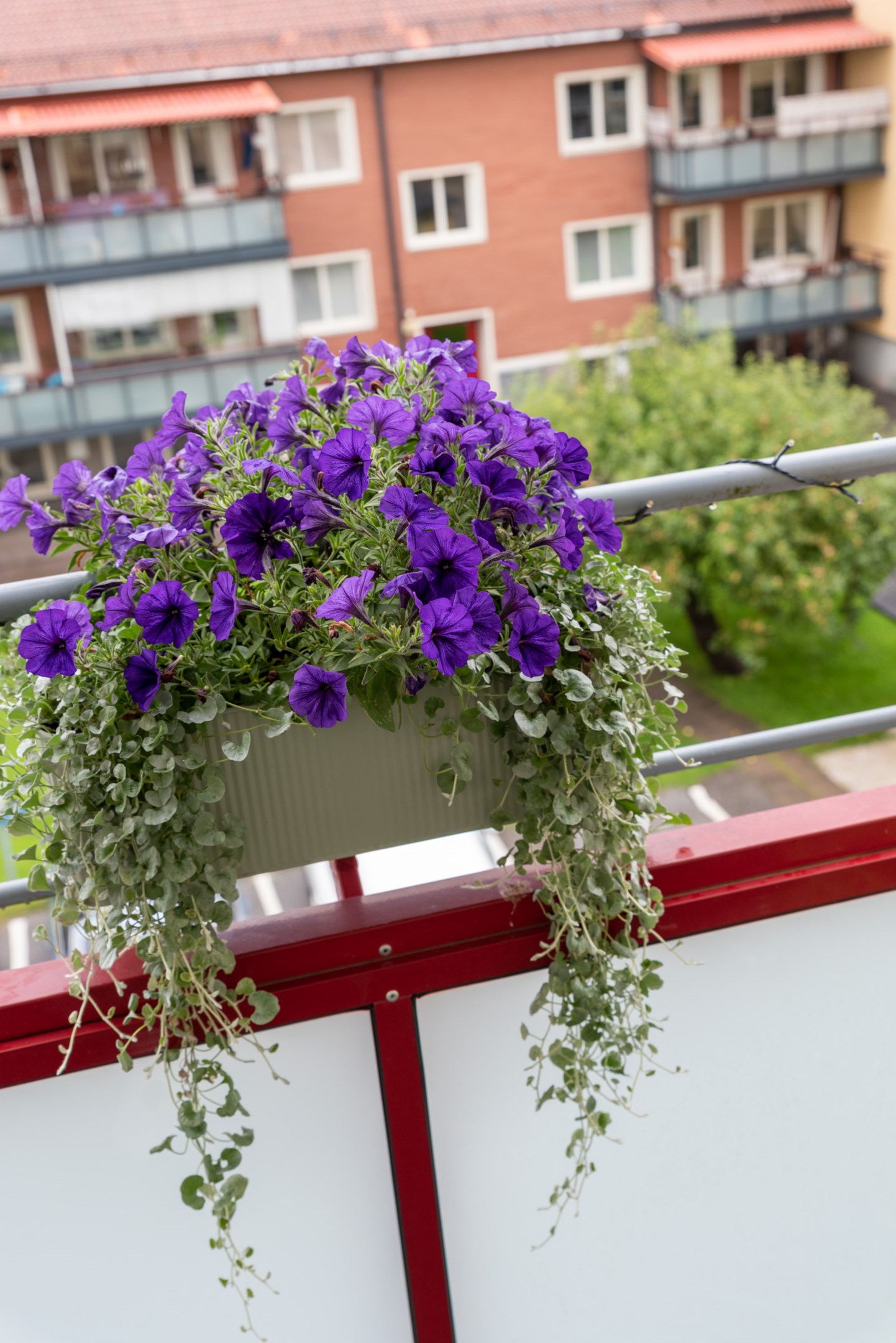 Bostadsbild från Hagavägen 8A, Såld i , Köping