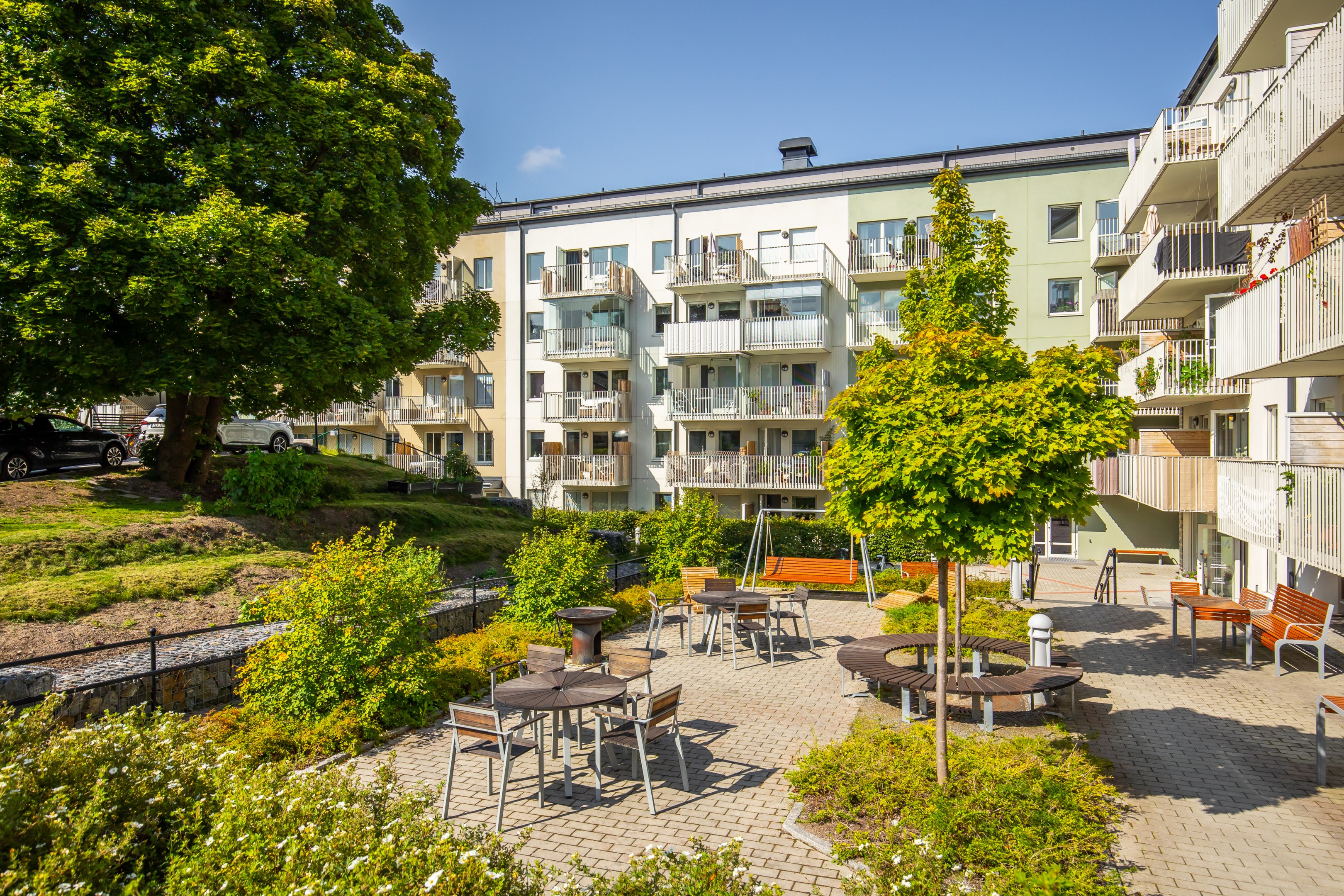 Föreningens grönskande innergård