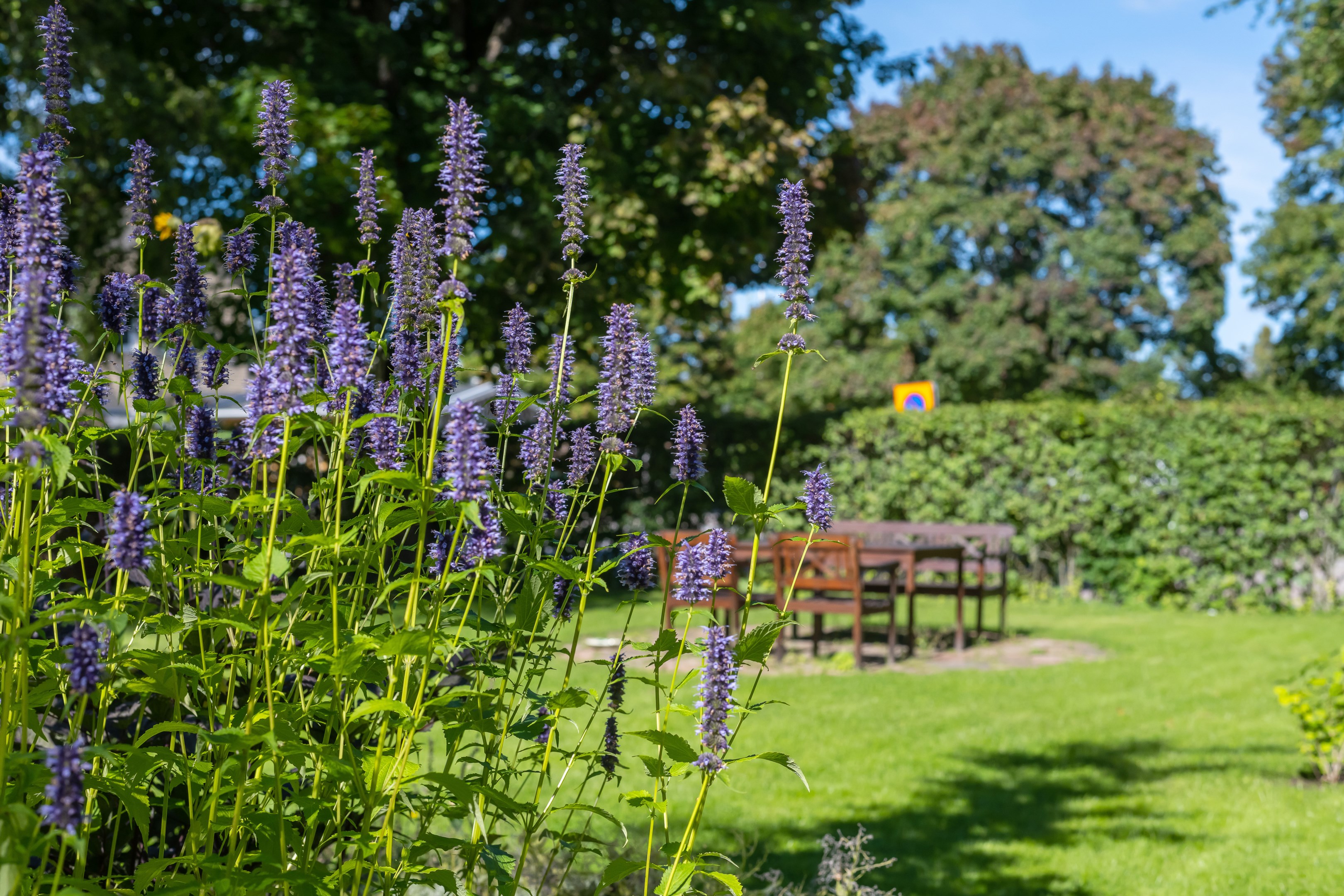 Bostadsbild från Alriksgatan 6A, Såld i Höganäs, Uppsala