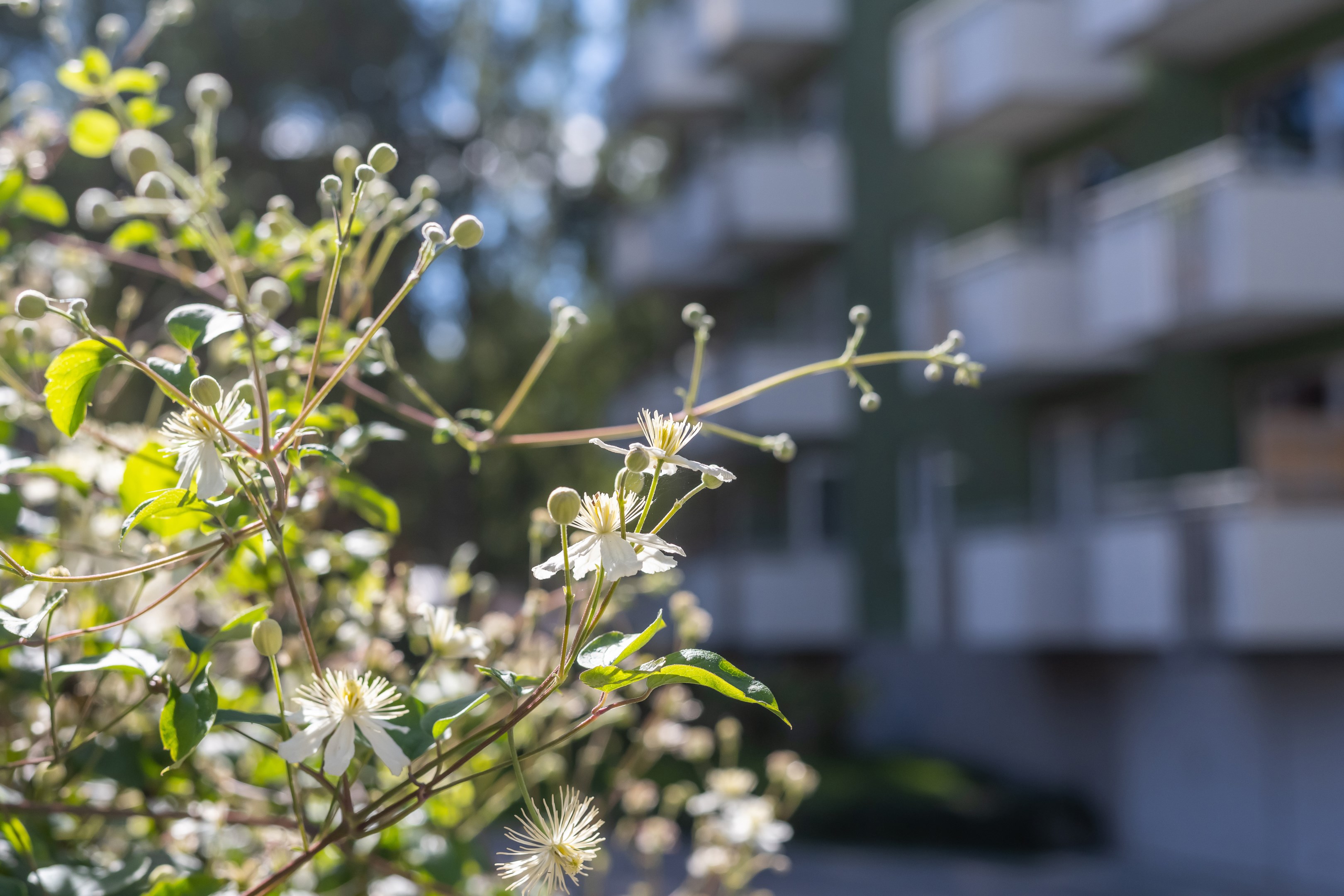 Bostadsbild från Alriksgatan 6A, Såld i Höganäs, Uppsala