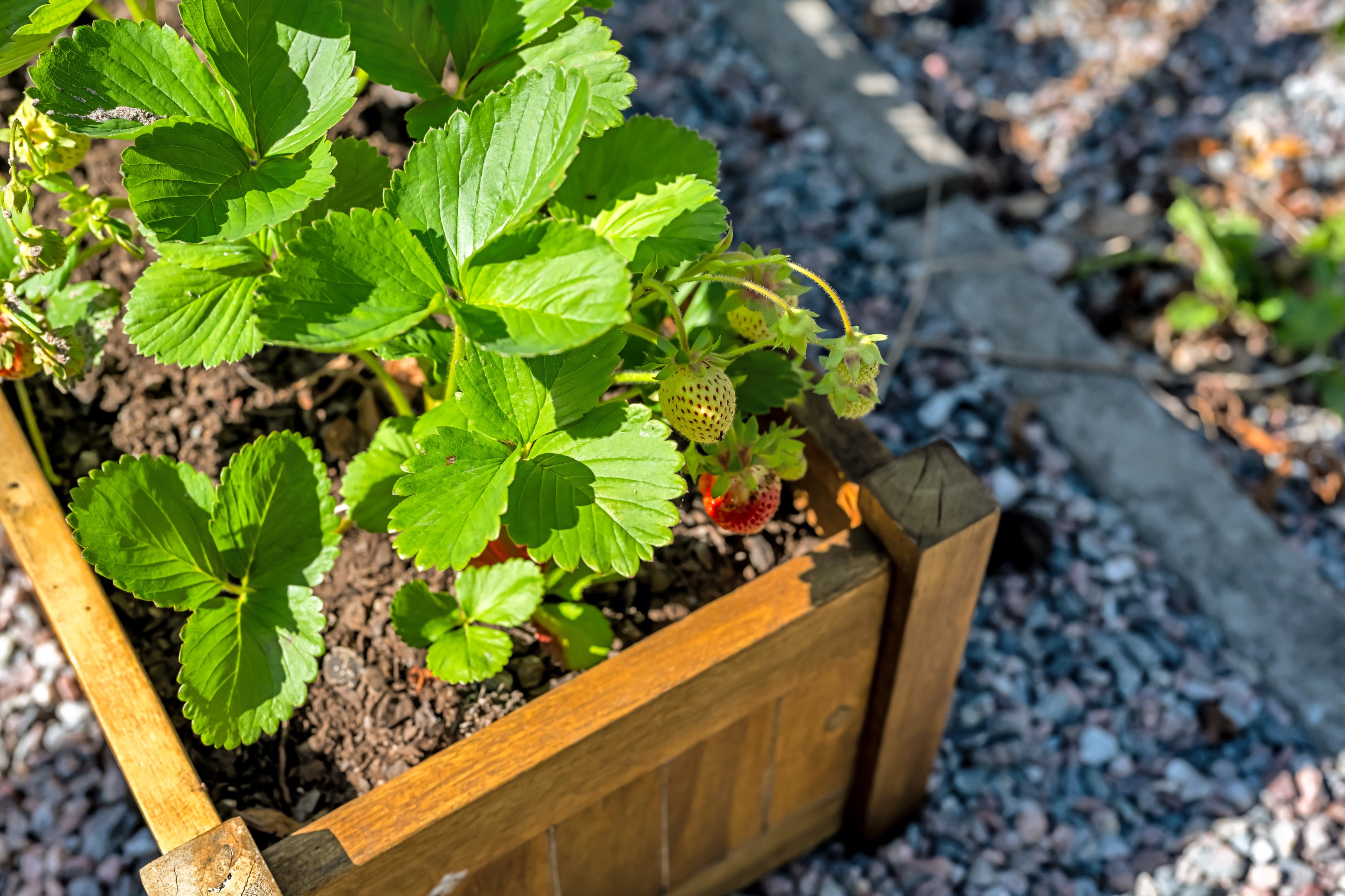 Bostadsbild från Höganäsgatan 6D, Såld i Höganäs, Uppsala