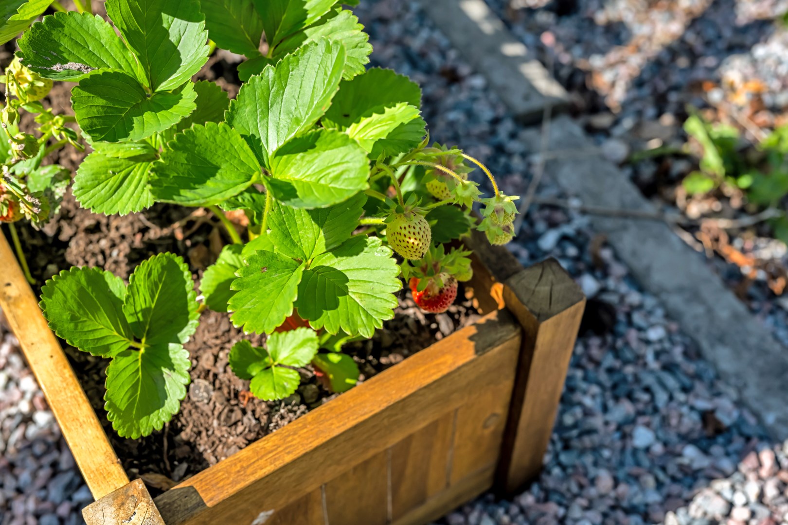Bostadsbild från Höganäsgatan 6D, Såld i Höganäs, Uppsala
