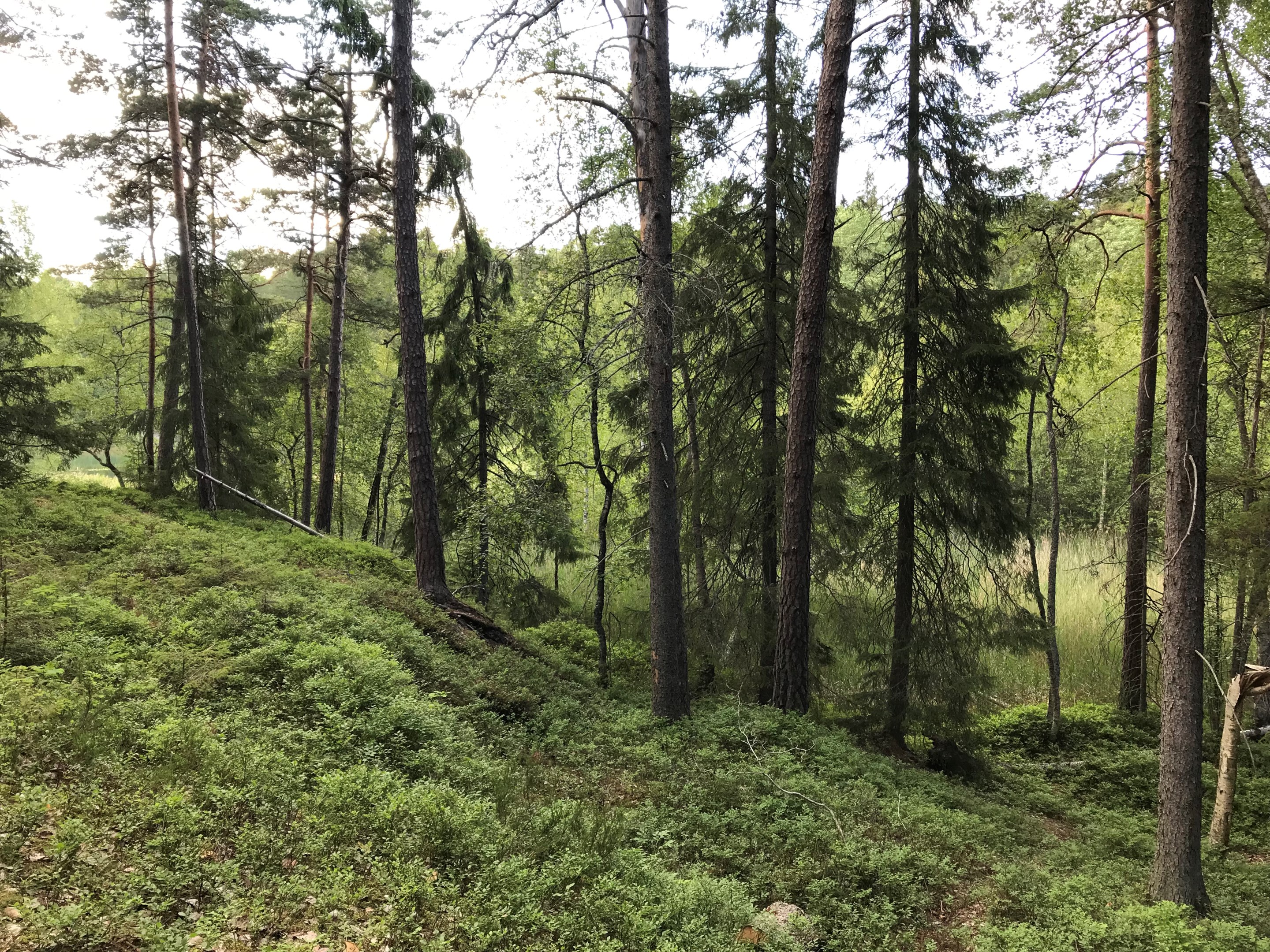 Bostadsbild från Tollare Ängsväg 24, 3 tr, Såld i Tollare, Nacka