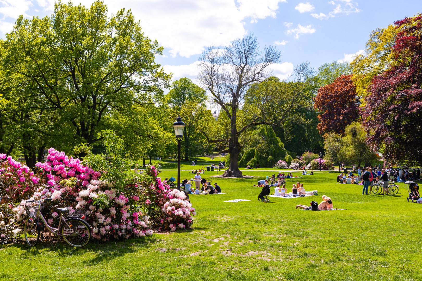 Bostadsbild från Birger Jarlsgatan 76, 5 tr, Såld i Östermalm - Lärkstan, Stockholm