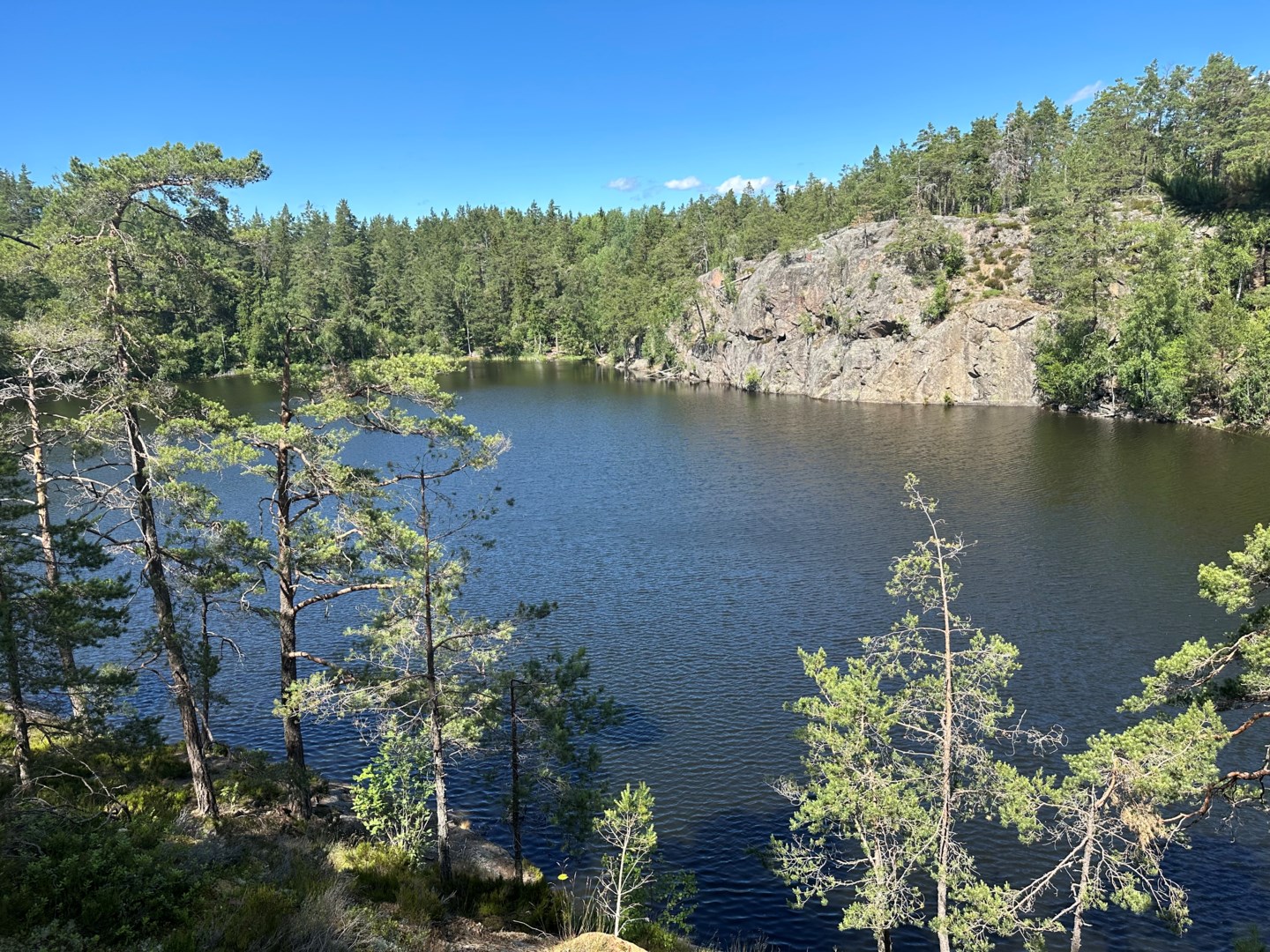 Abborrsjöns Naturreservat med insjöbad och naturupplevelser.