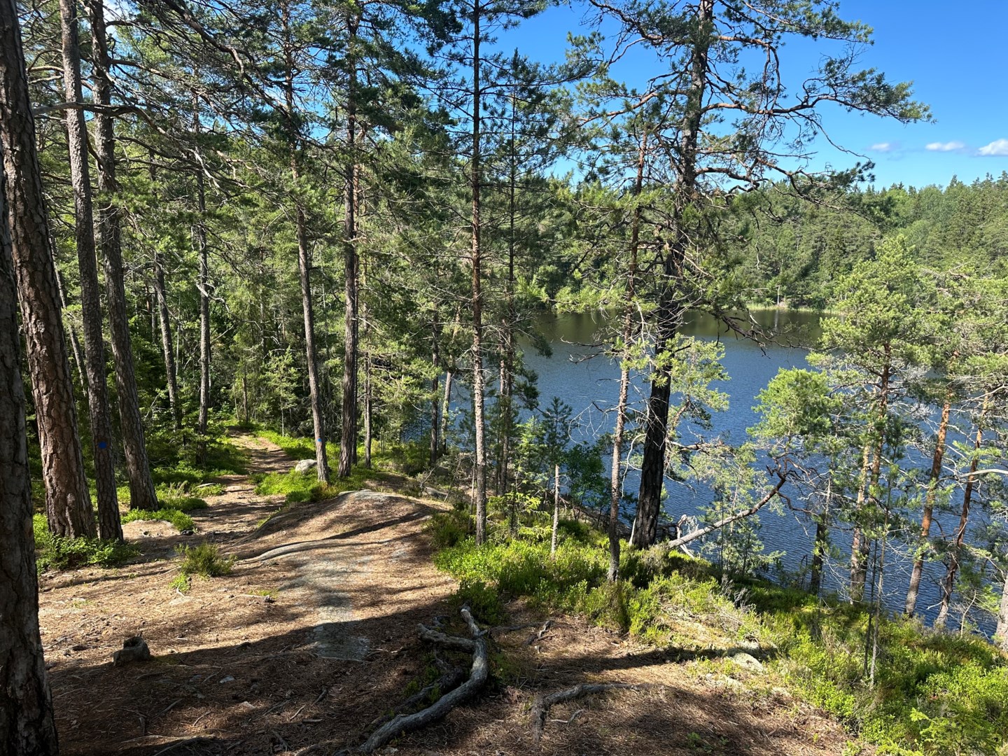 Sjön omsluts av stigar för promenader och löpning.