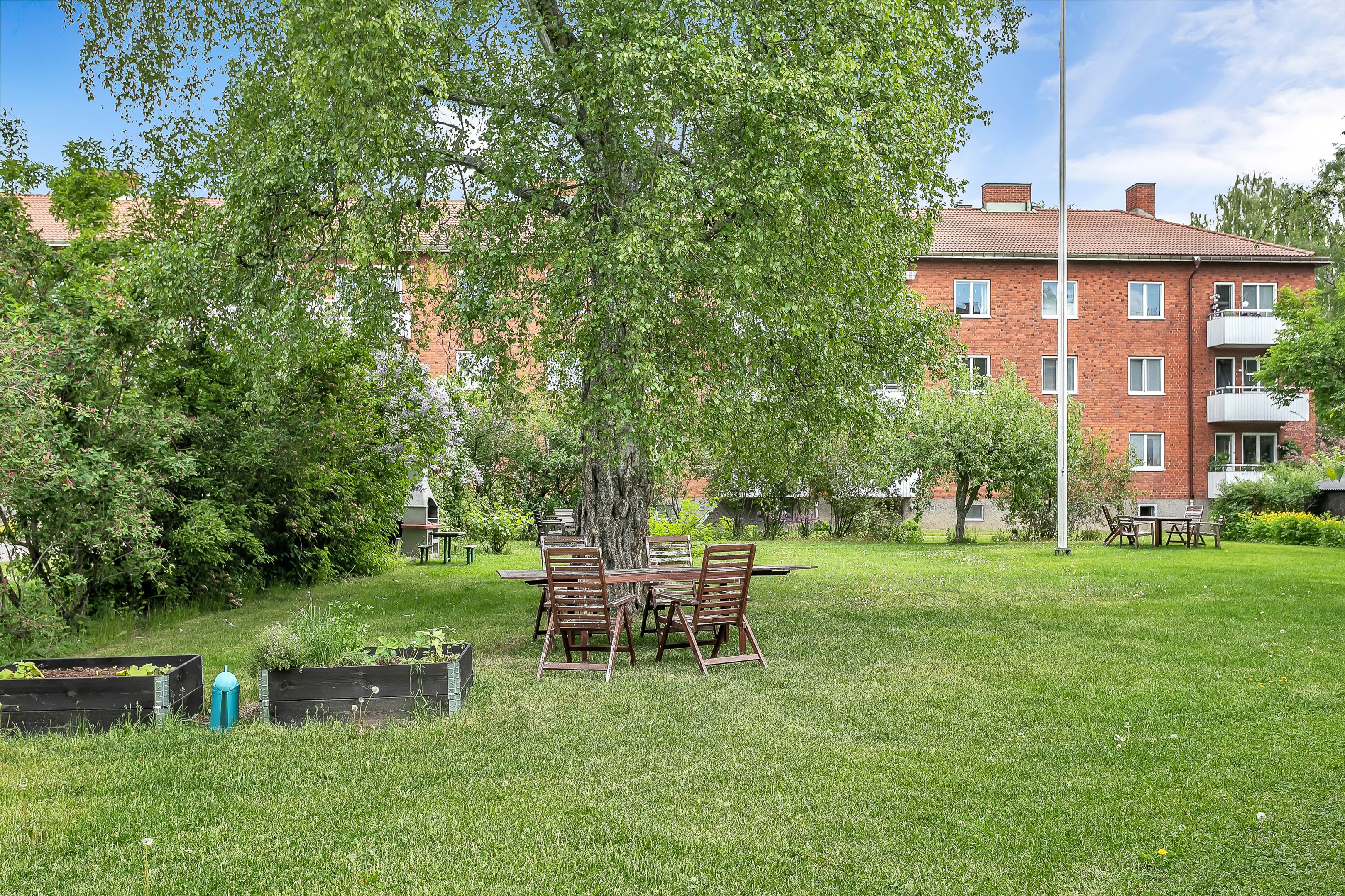 Bostadsbild från Viktoriagatan 11, Såld i Luthagen, Uppsala