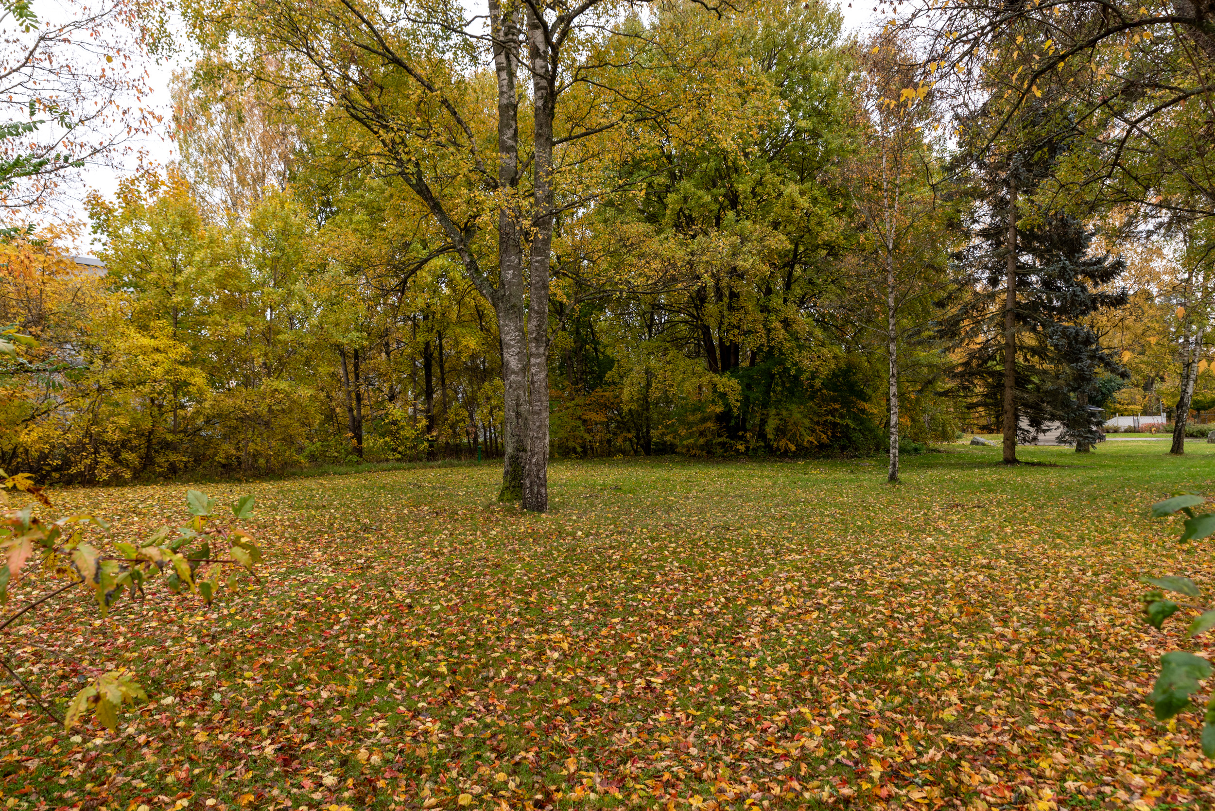 Bostadsbild från Norra skjutbanegatan 12F, Såld i Haga, Västerås