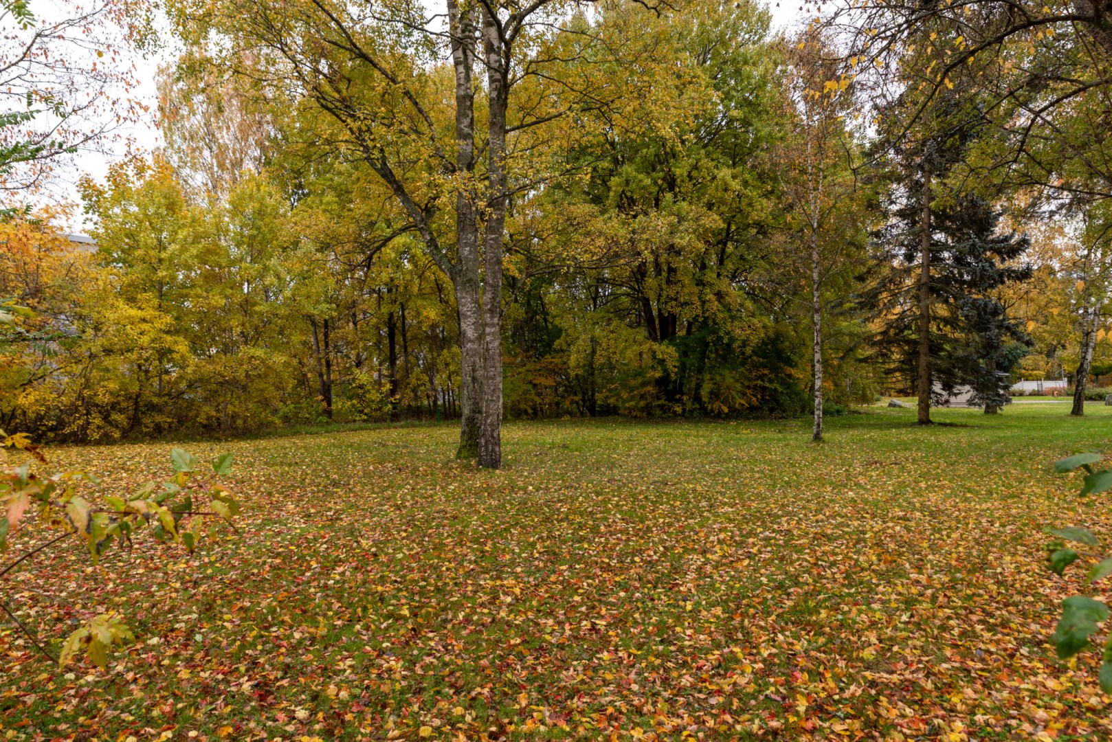 Bostadsbild från Norra skjutbanegatan 12F, Såld i Haga, Västerås