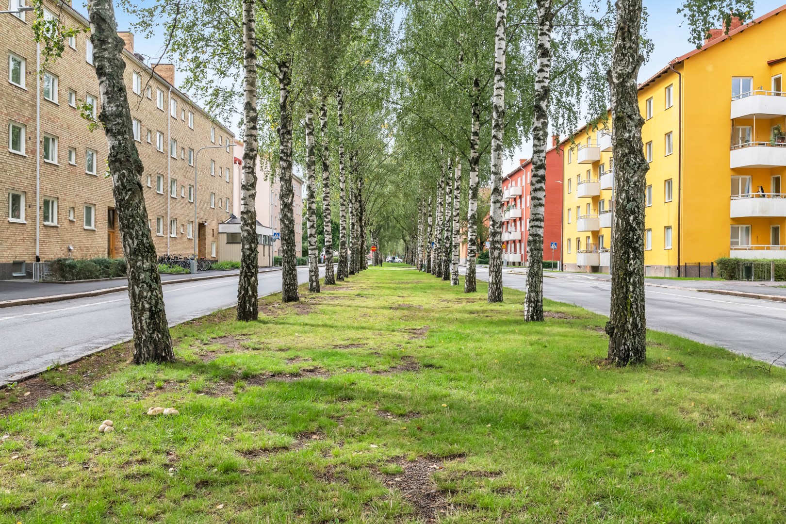 Bostadsbild från S:t Olofsgatan 43 B, Såld i Höganäs, Uppsala