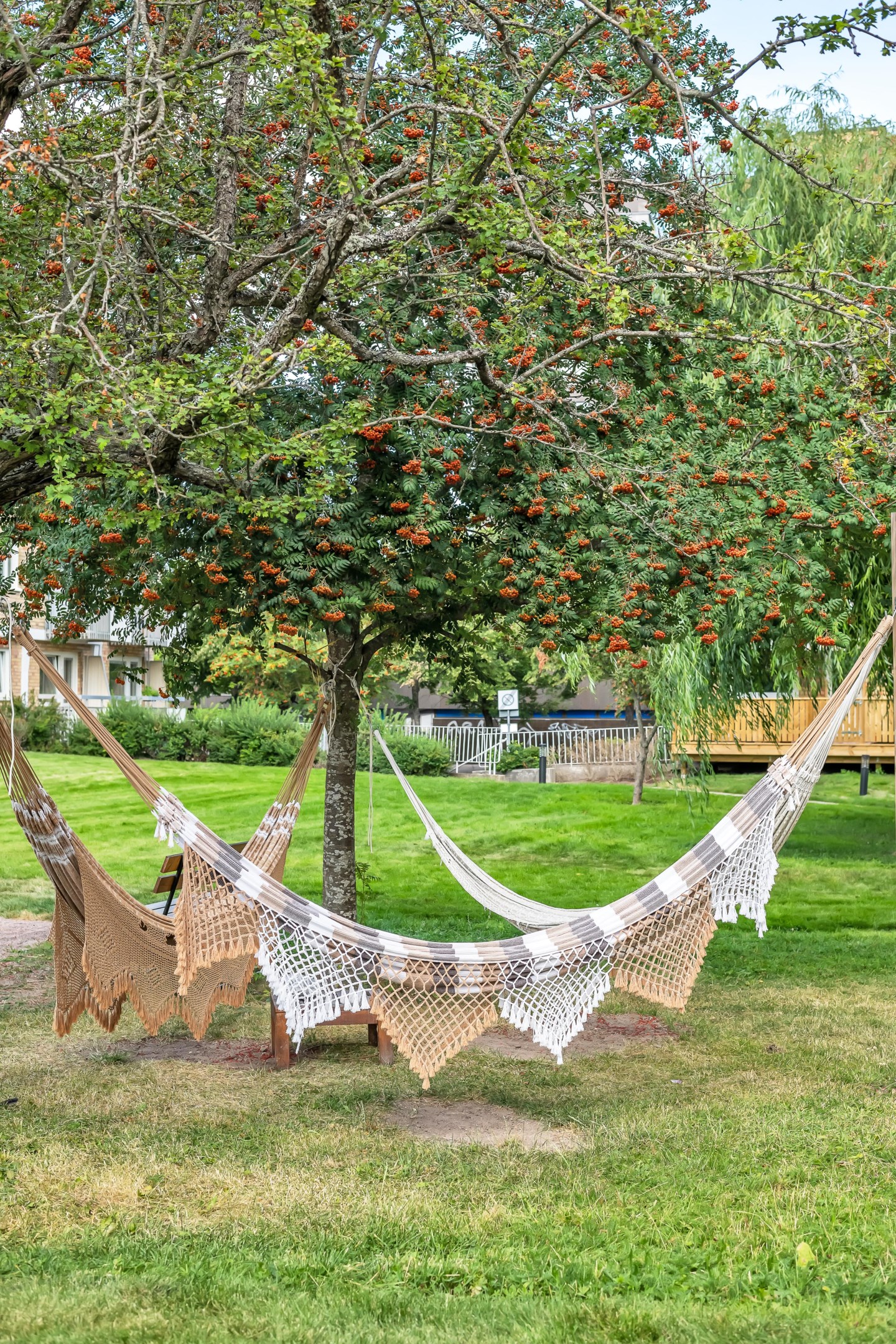 Bostadsbild från S:t Olofsgatan 43 B, Såld i Höganäs, Uppsala