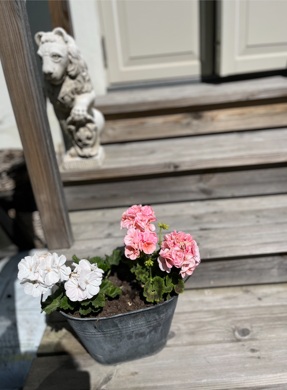 Bostadsbild från Norrlandsgatan 20, Såld i Luthagen, Uppsala