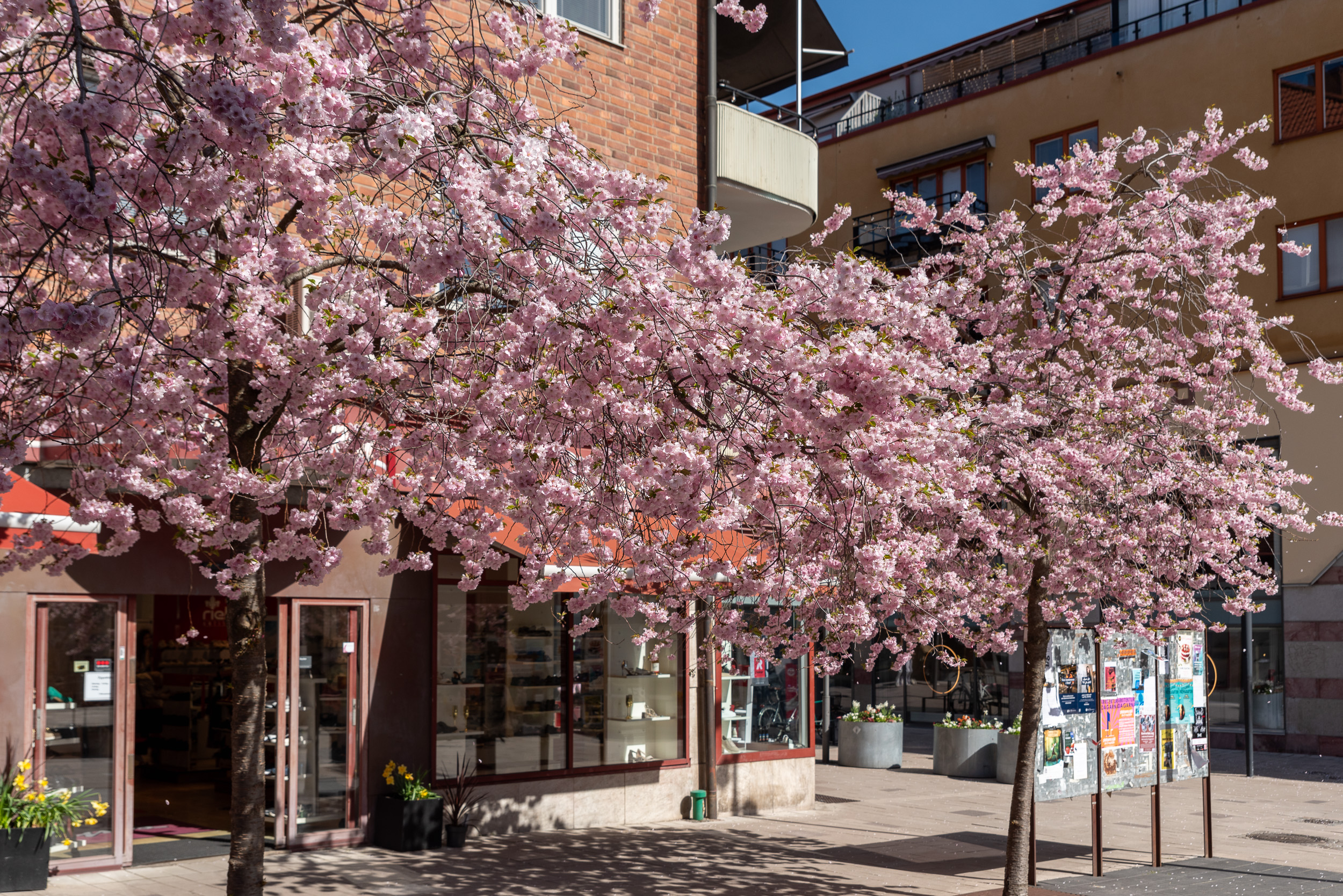 Bostadsbild från Sturegatan 9A, Såld i City, Västerås