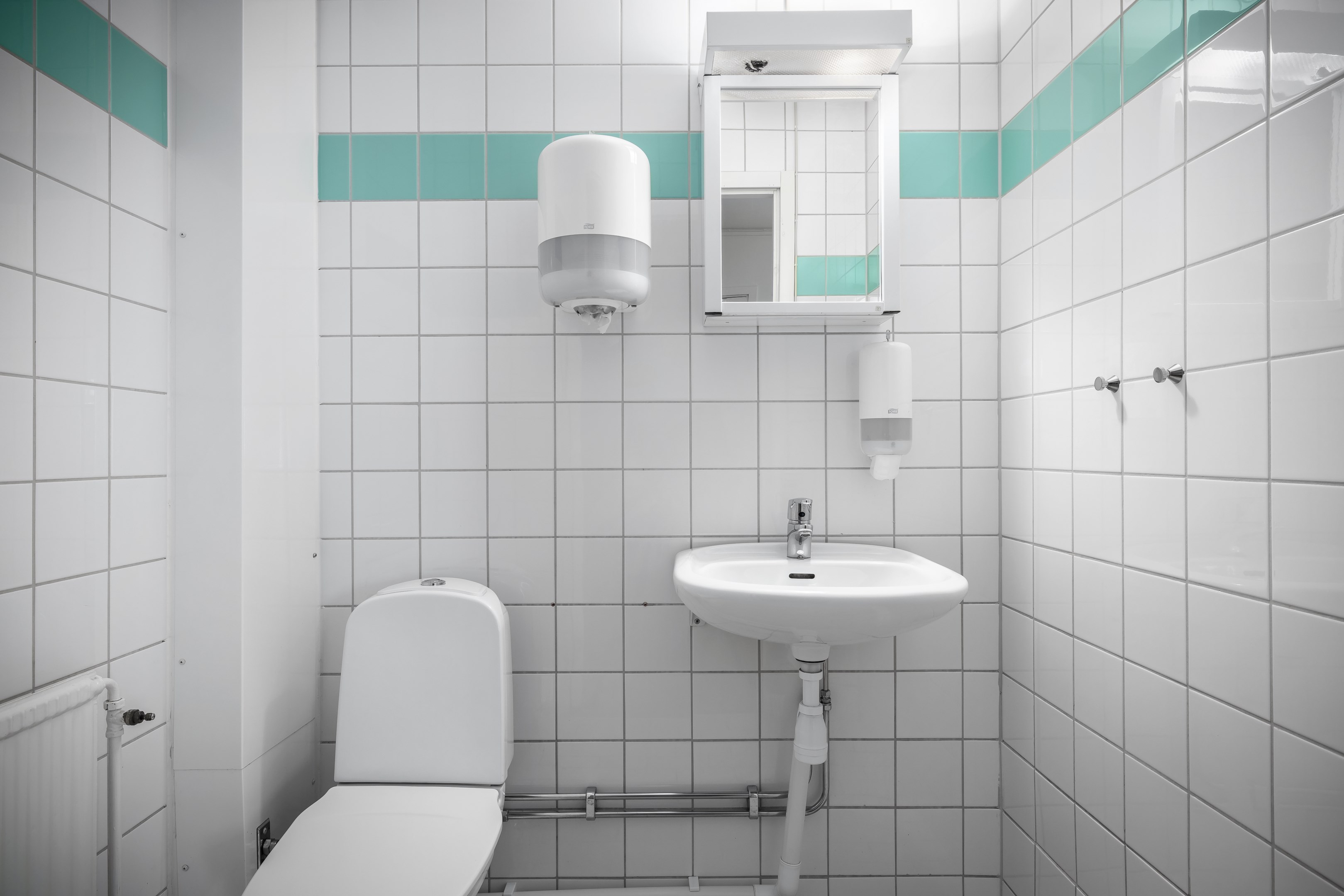 Gäst toalett i anslutning till hallen