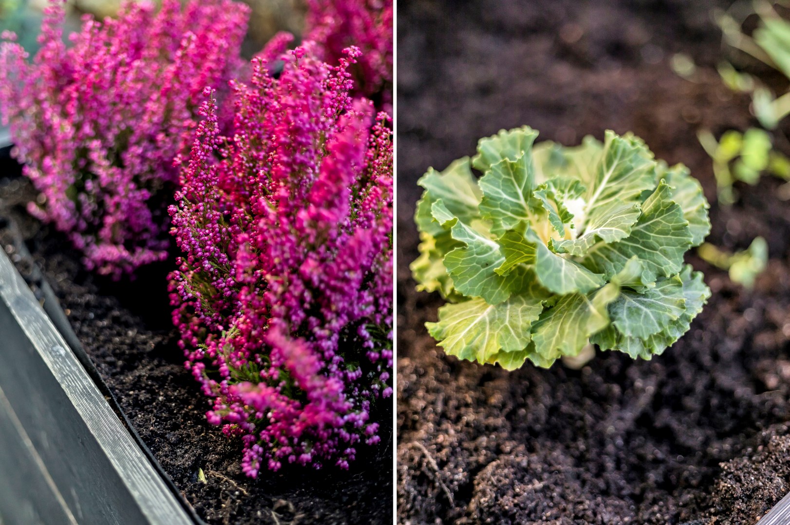 Bostadsbild från Siktargatan 8, Såld i Kungsängen, Uppsala