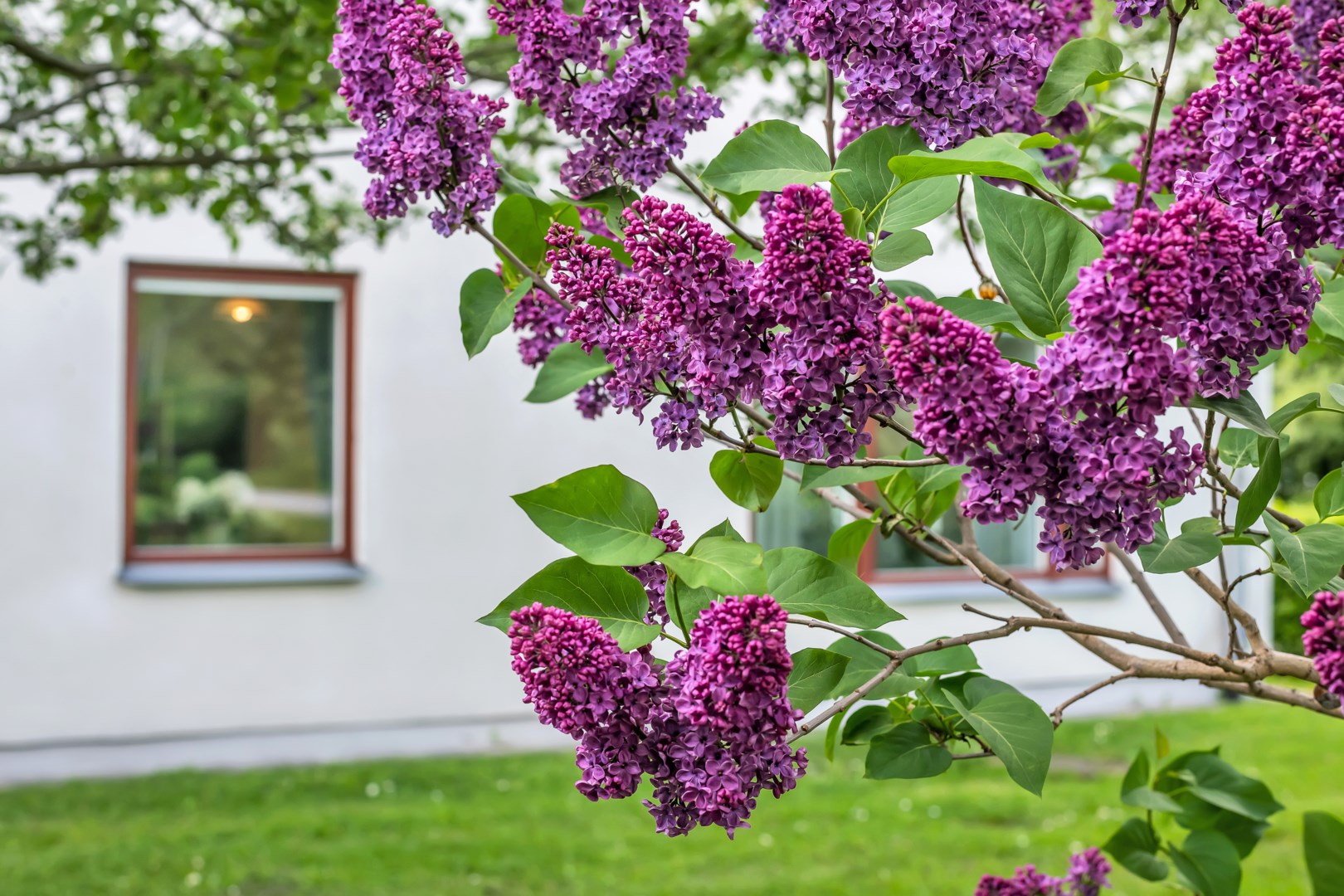 Bostadsbild från Fyrisvallsgatan 3 C, Såld i Luthagen, Uppsala
