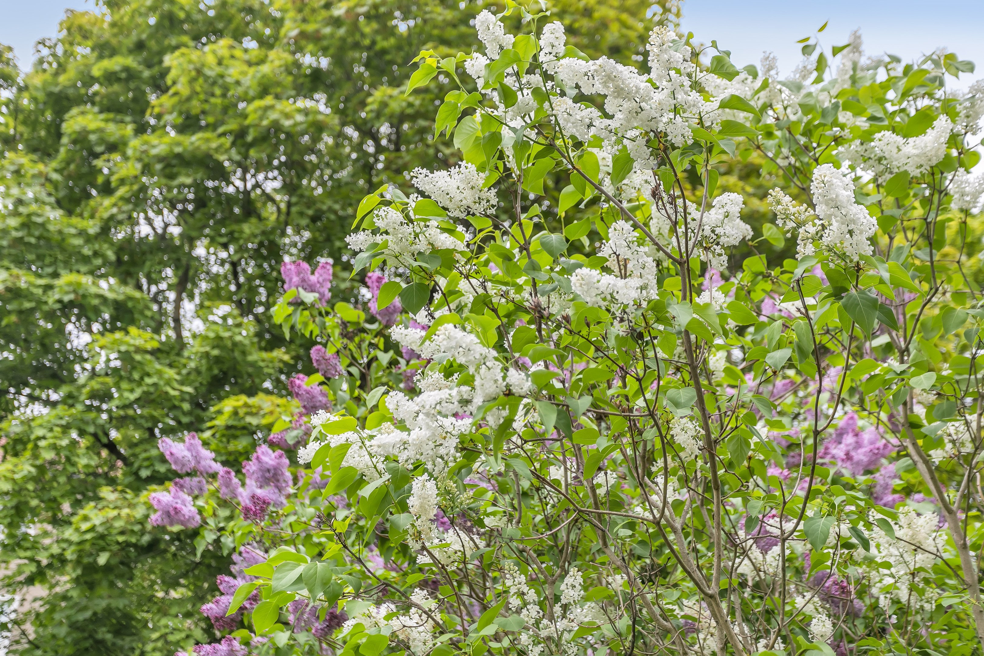 Bostadsbild från Tunagatan 3 A, Såld i Tunabackar, Uppsala